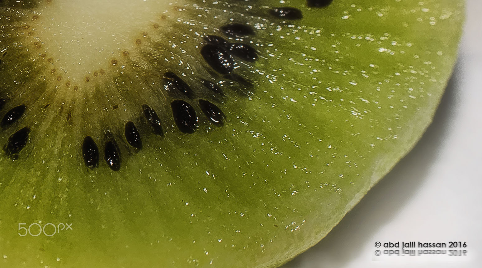 Sigma 30mm F1.4 EX DC HSM sample photo. Kiwi photography
