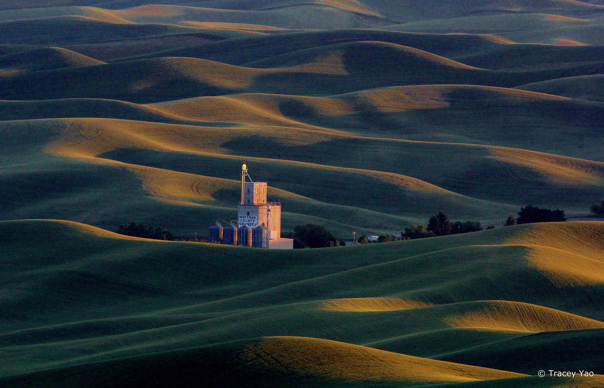 Canon EF 300mm F4L IS USM sample photo. Sunset on farmland in washington photography