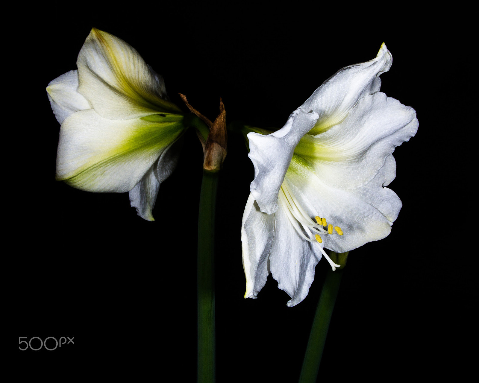 Nikon AF-S Nikkor 28-70mm F2.8 ED-IF sample photo. Sequence photography