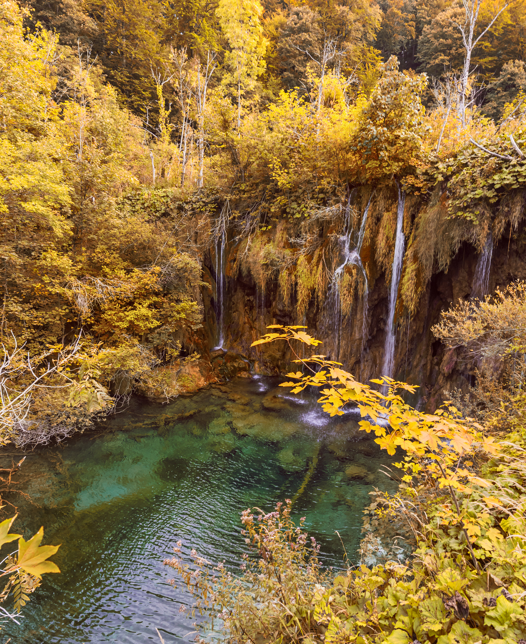 Nikon AF-S Nikkor 14-24mm F2.8G ED sample photo. Oasis photography