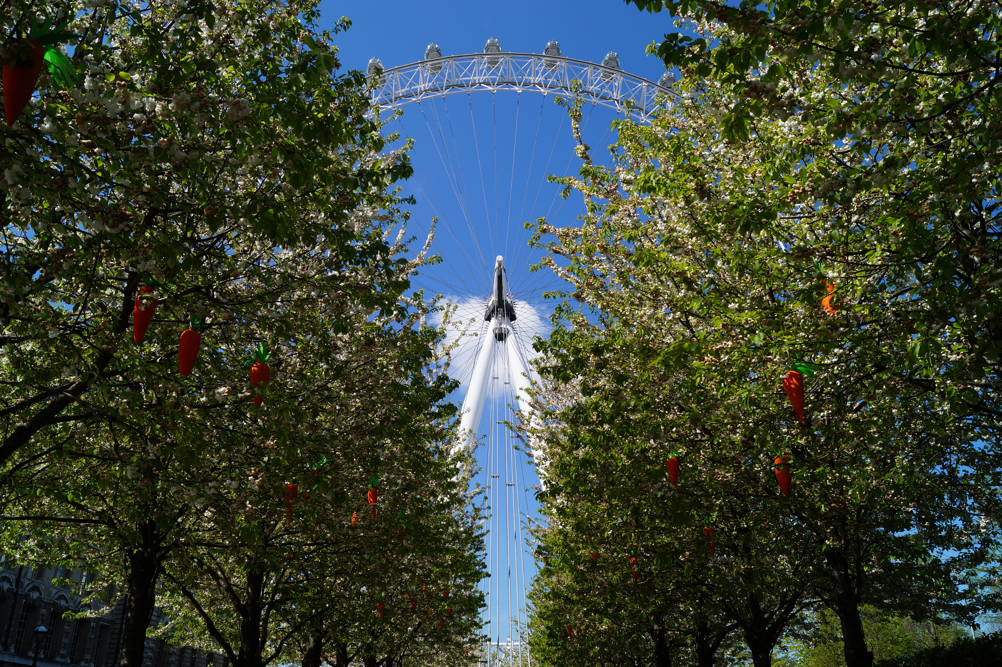 Sony SLT-A58 + Sony DT 18-55mm F3.5-5.6 SAM II sample photo. The london eye photography