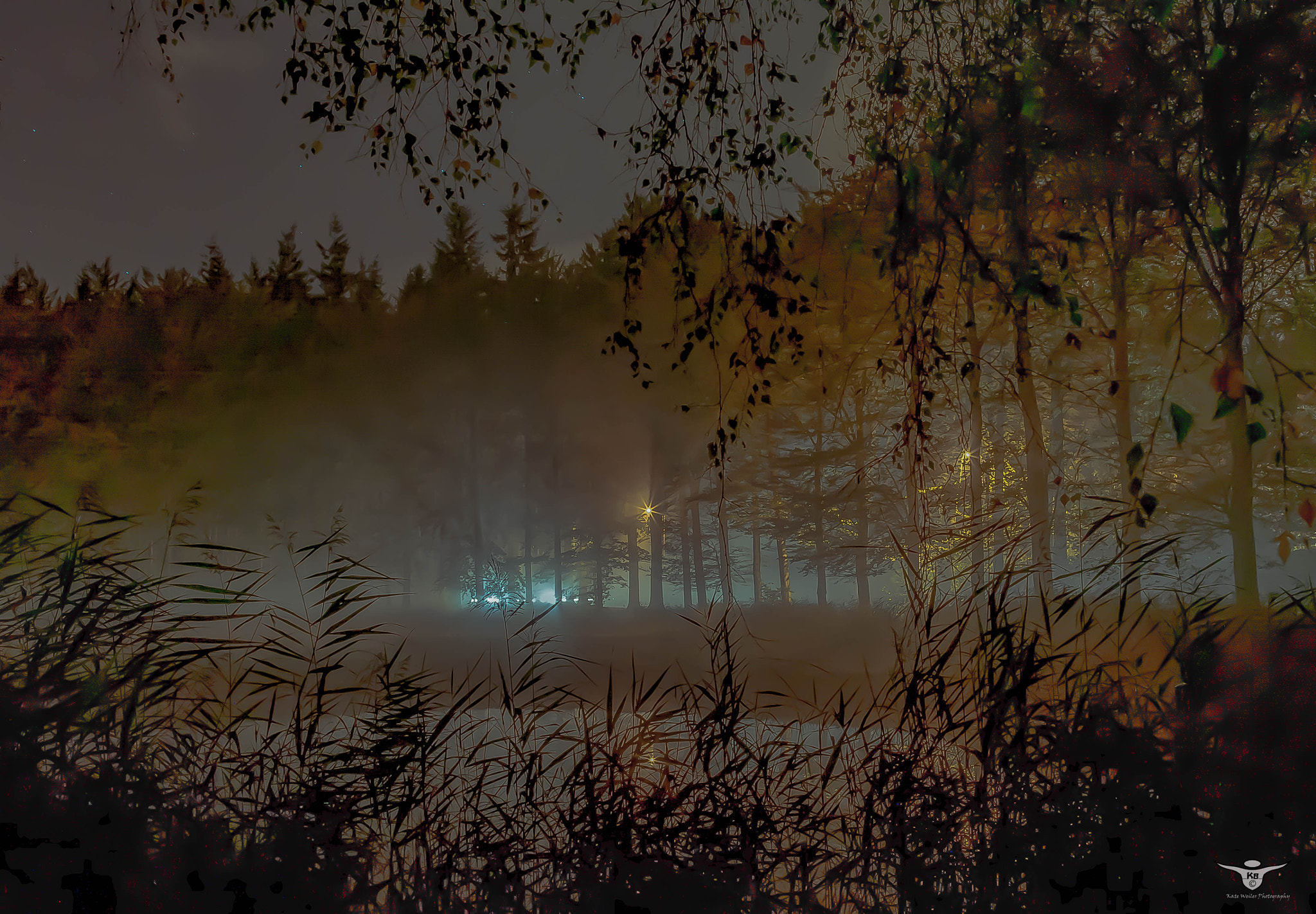 Nikon D5200 + Samyang 16mm F2 ED AS UMC CS sample photo. Foggy forest.jpg photography