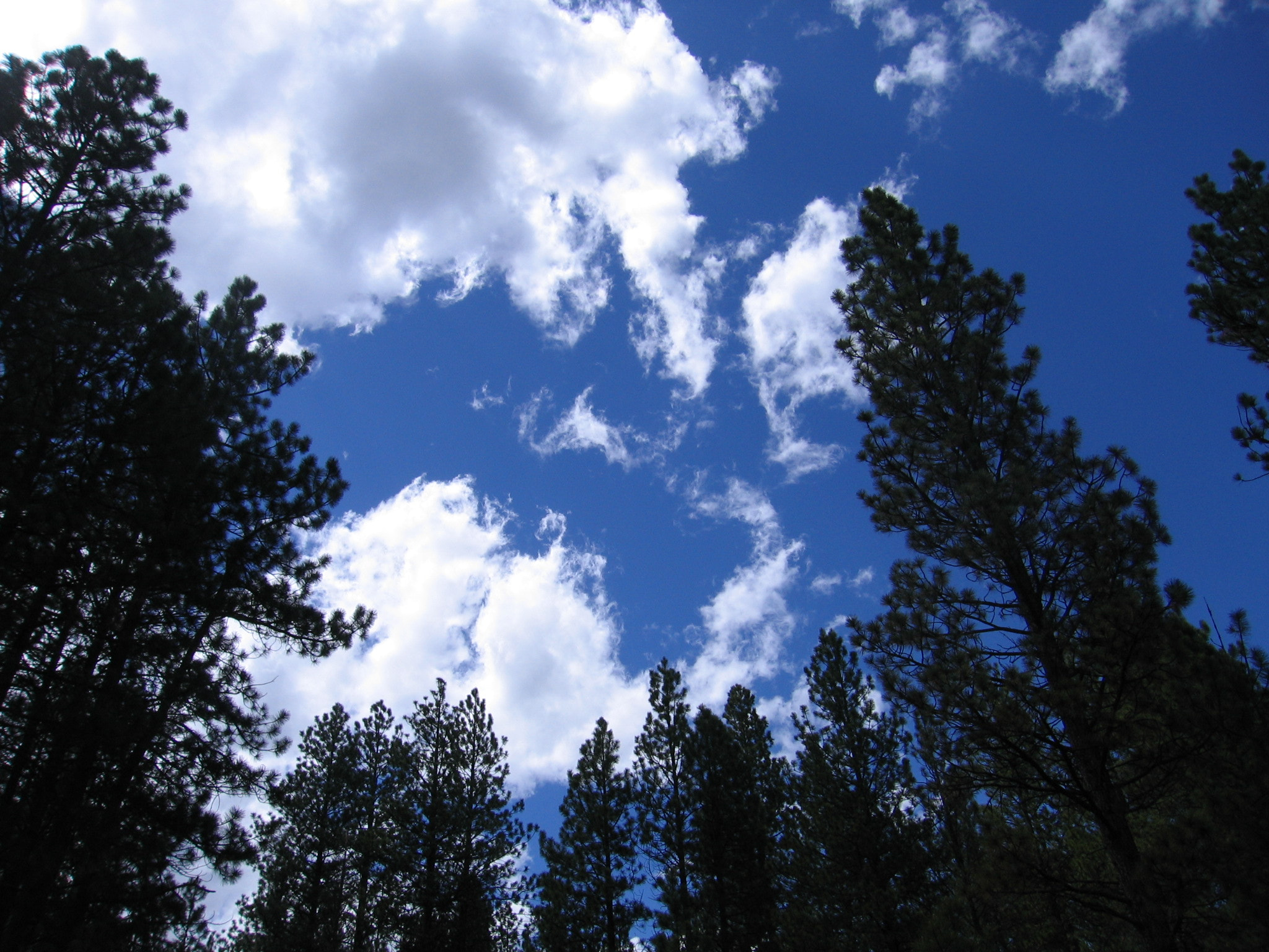 Canon POWERSHOT S60 sample photo. Bend, oregon photography