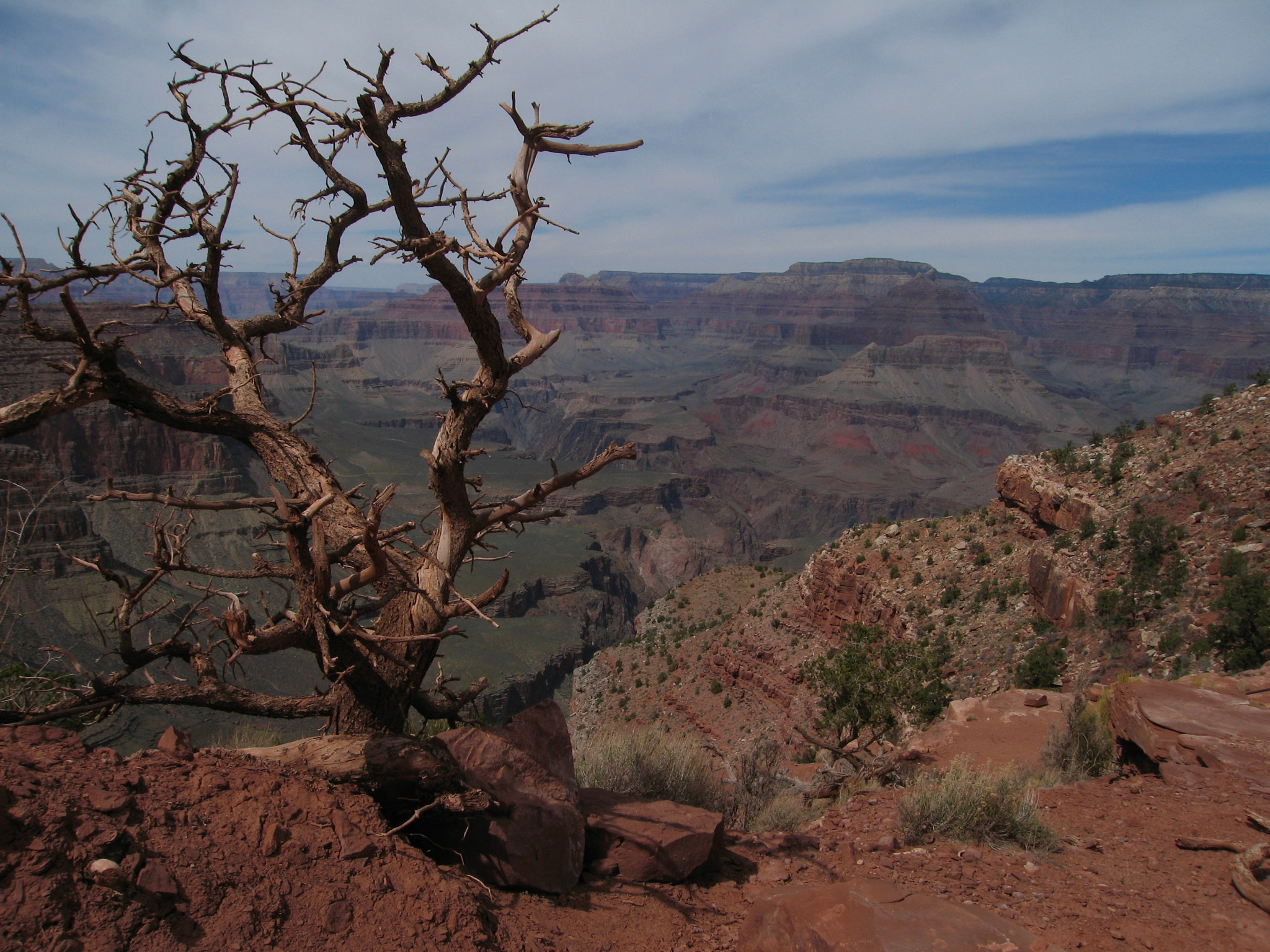 Canon POWERSHOT S80 sample photo. Grand canyon national park photography