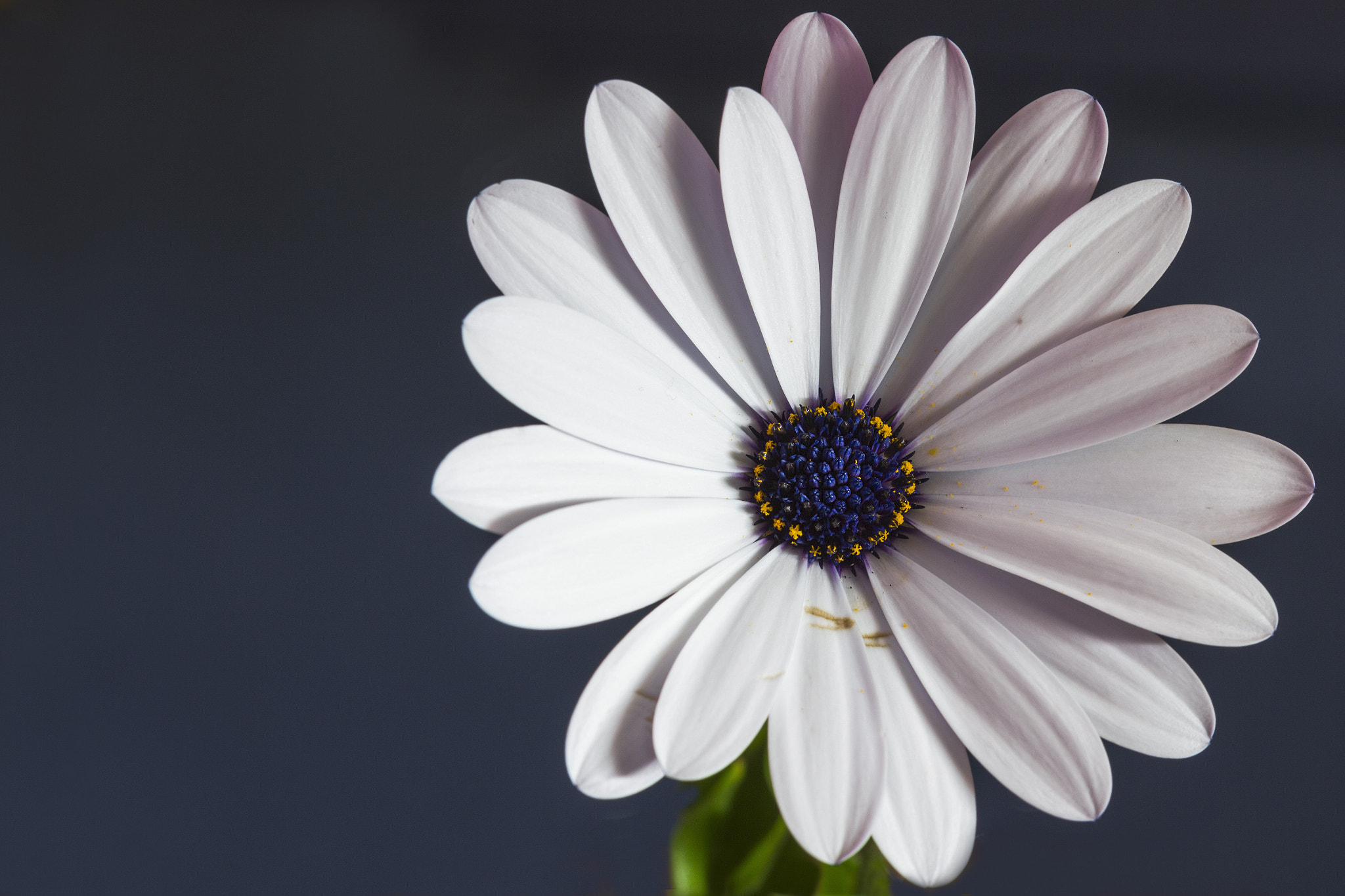 Sigma 105mm F2.8 EX DG OS HSM sample photo. Eklipse photography
