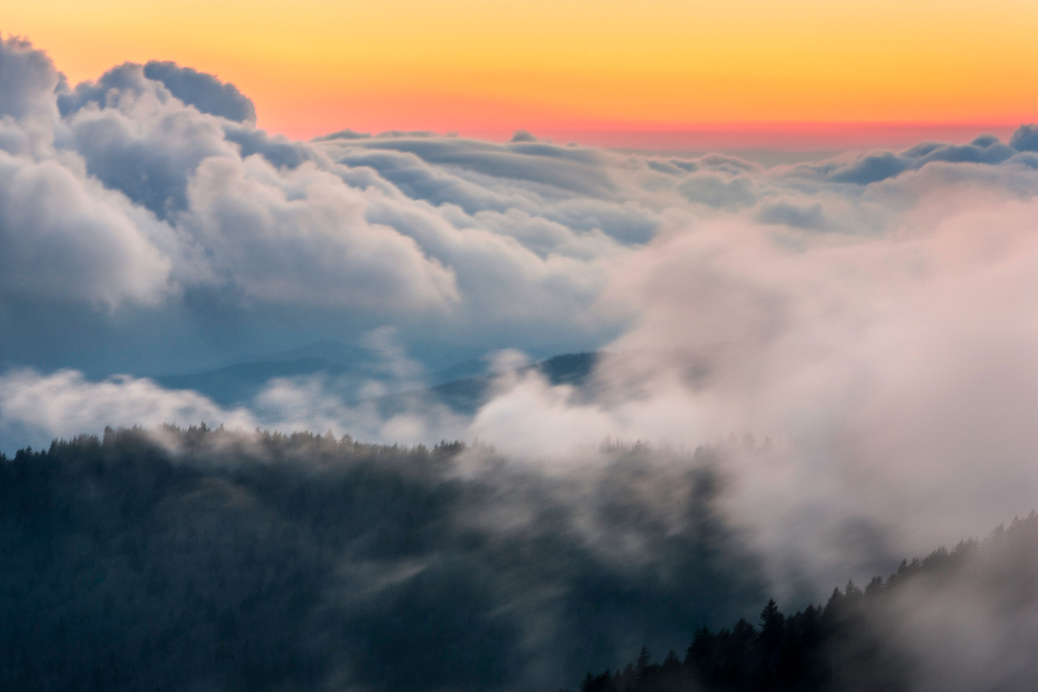 Canon EOS-1Ds Mark III + Canon EF 70-200mm F2.8L USM sample photo. Sunrise at clingman's dome photography