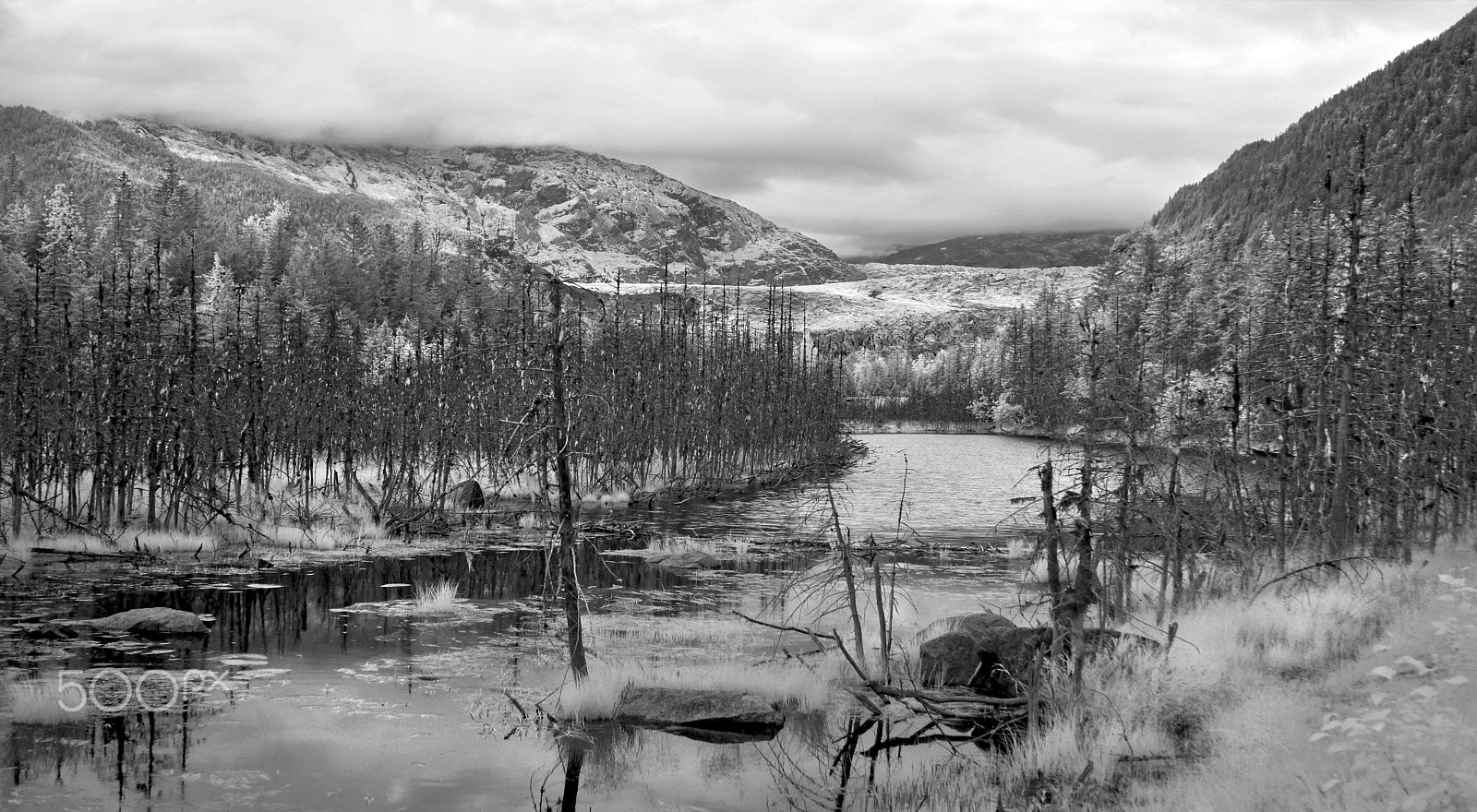 Sony SLT-A55 (SLT-A55V) + Sony DT 35mm F1.8 SAM sample photo. Glacier neightborhood photography