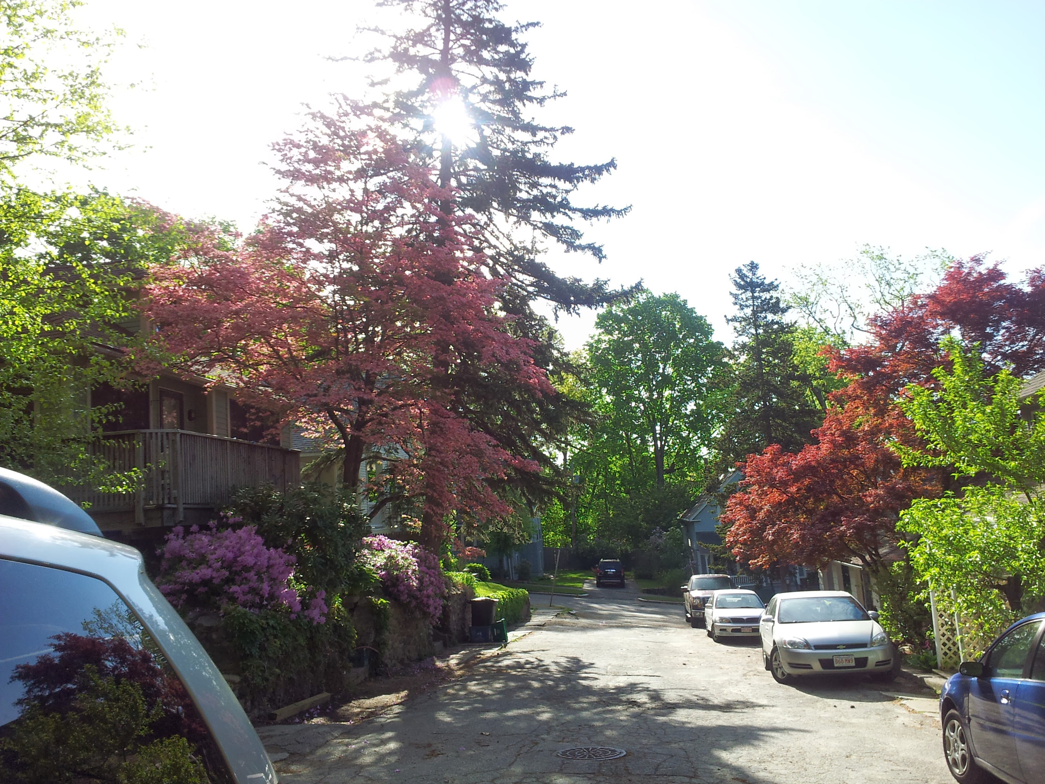 Samsung Galaxy S2 Epic sample photo