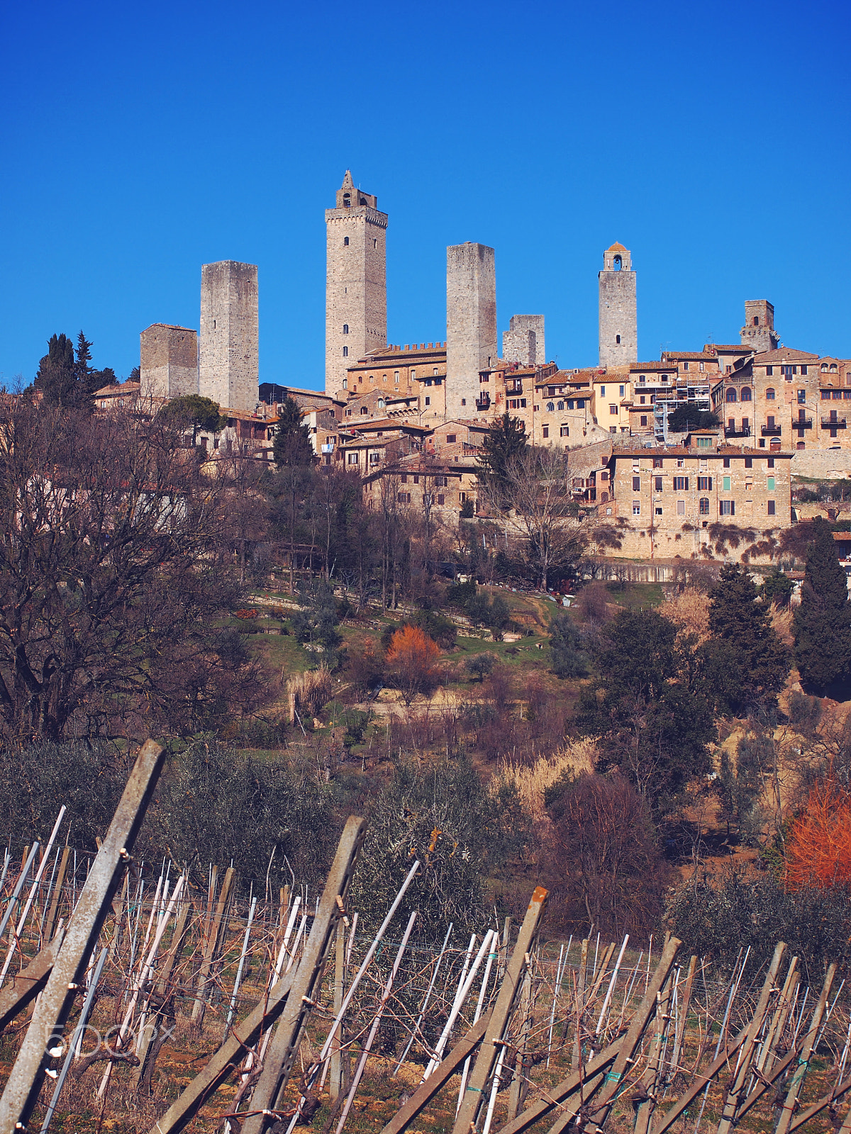 Olympus Zuiko Digital ED 40-150mm F4.0-5.6 sample photo. San gimignano photography