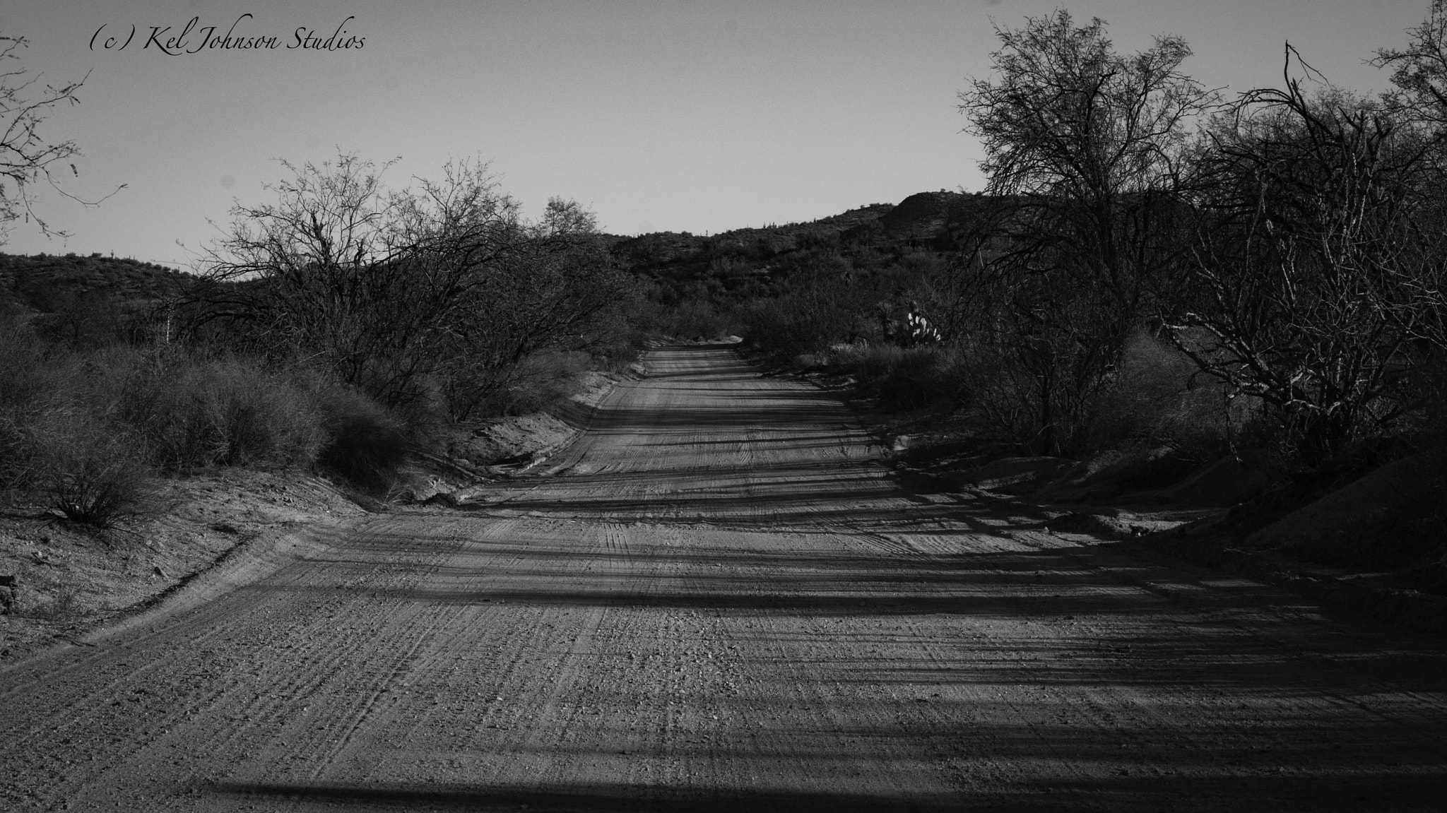 Sony Alpha DSLR-A200 + Minolta AF 50mm F1.7 sample photo. Arizona desert photography