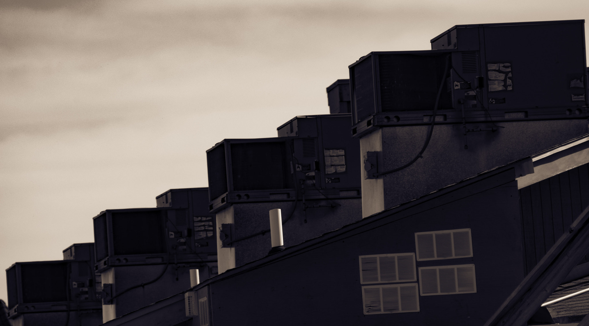 Minolta AF 100-200mm F4.5 sample photo. In a row photography