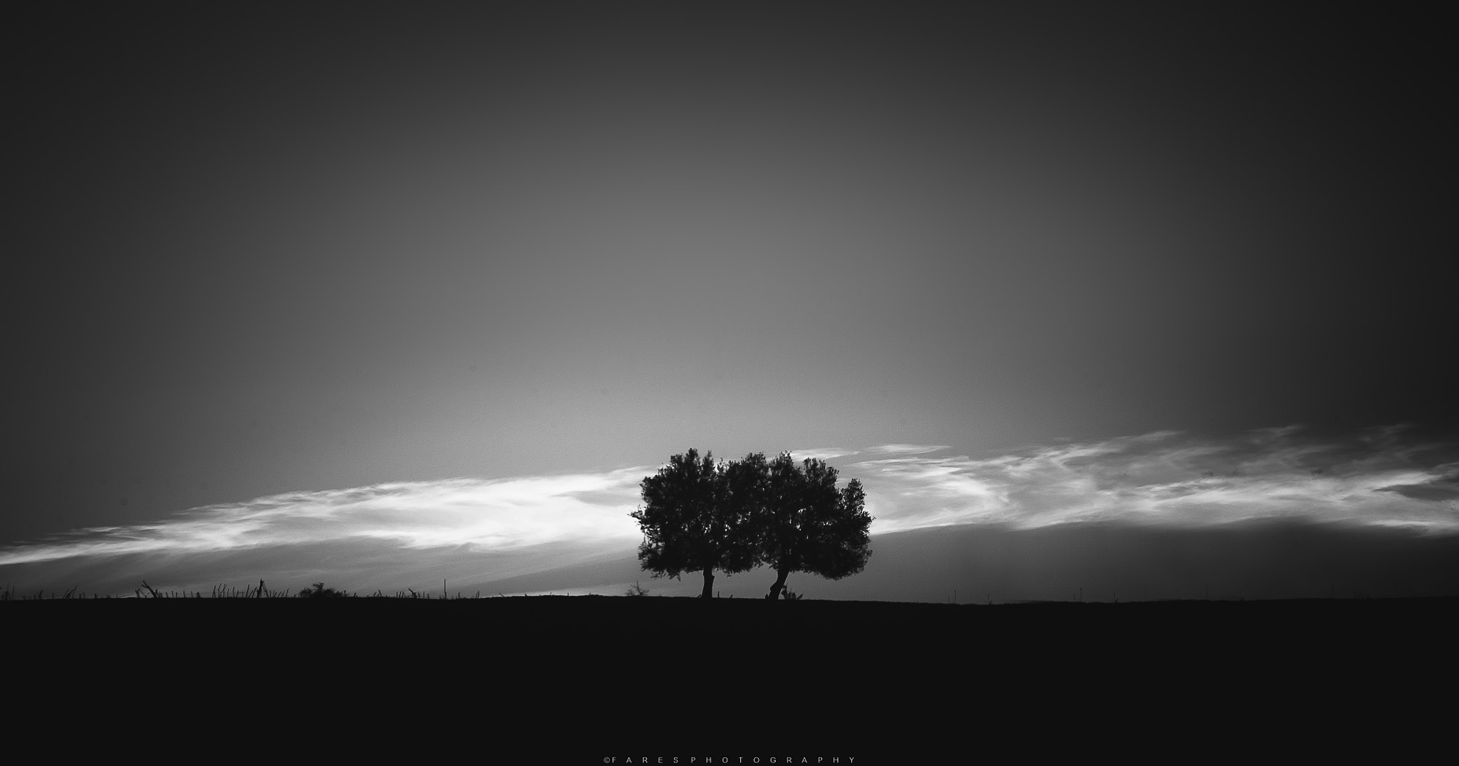 Tamron AF 28-200mm F3.8-5.6 XR Di Aspherical (IF) Macro sample photo. Lovers trees photography