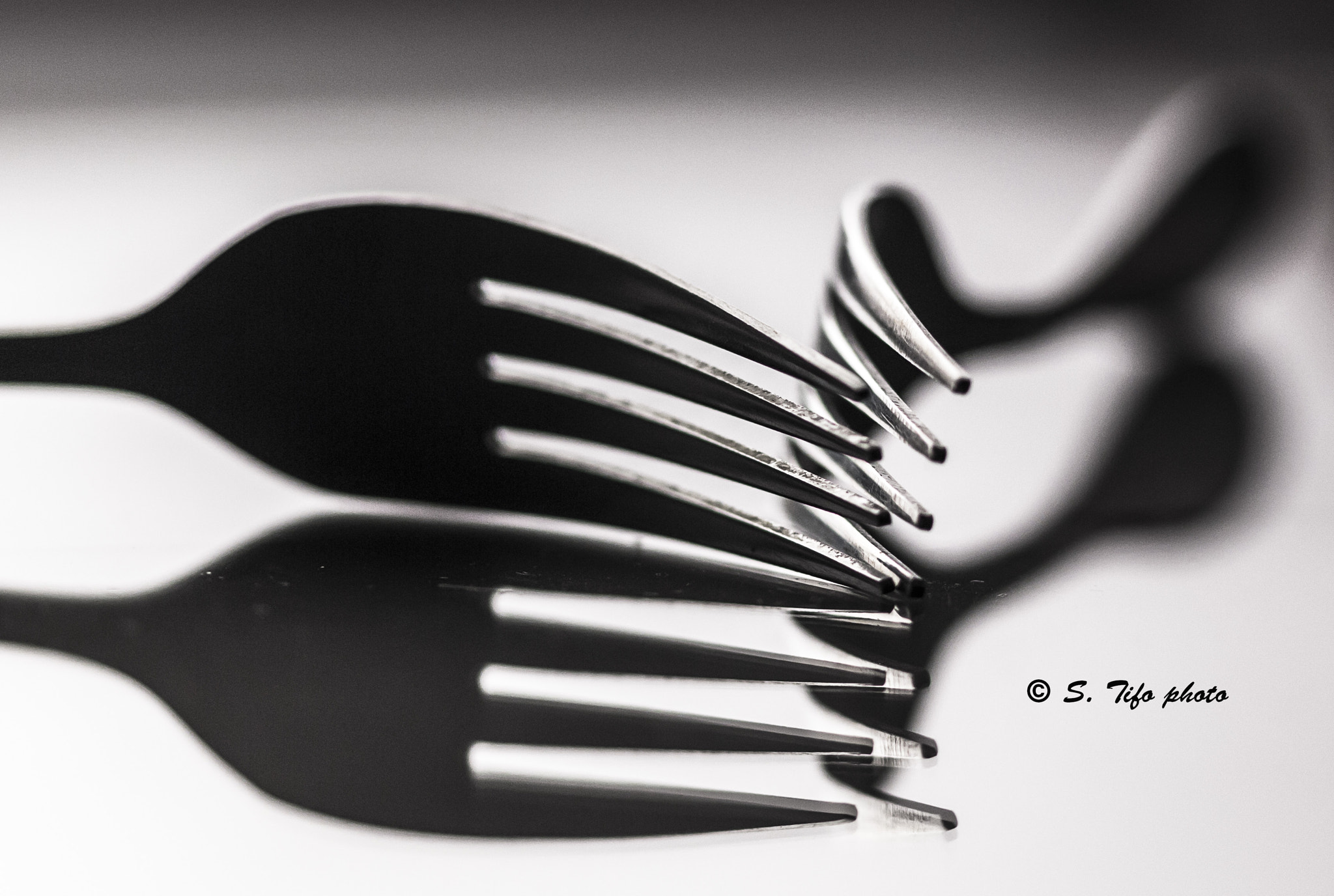 Sigma 105mm F2.8 EX DG OS HSM sample photo. Deux fourchettes .... photography