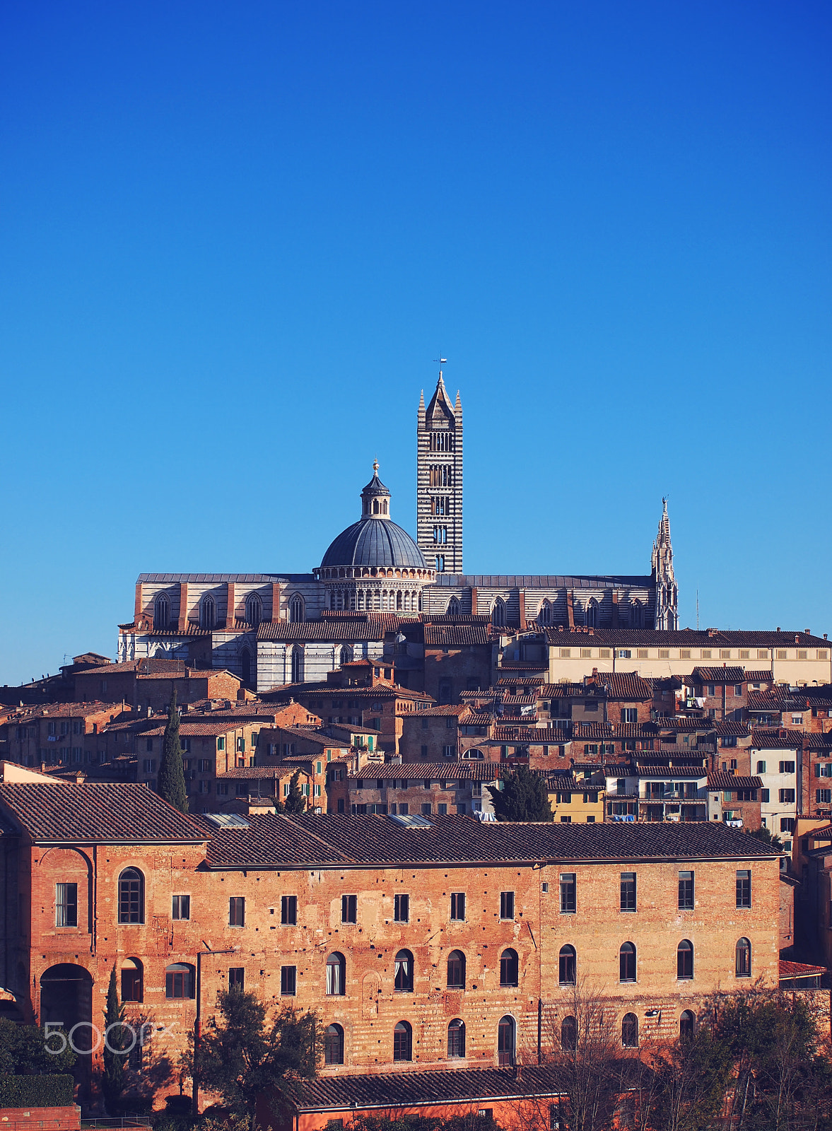 Olympus Zuiko Digital ED 40-150mm F4.0-5.6 sample photo. Cathedral in siena, italy photography
