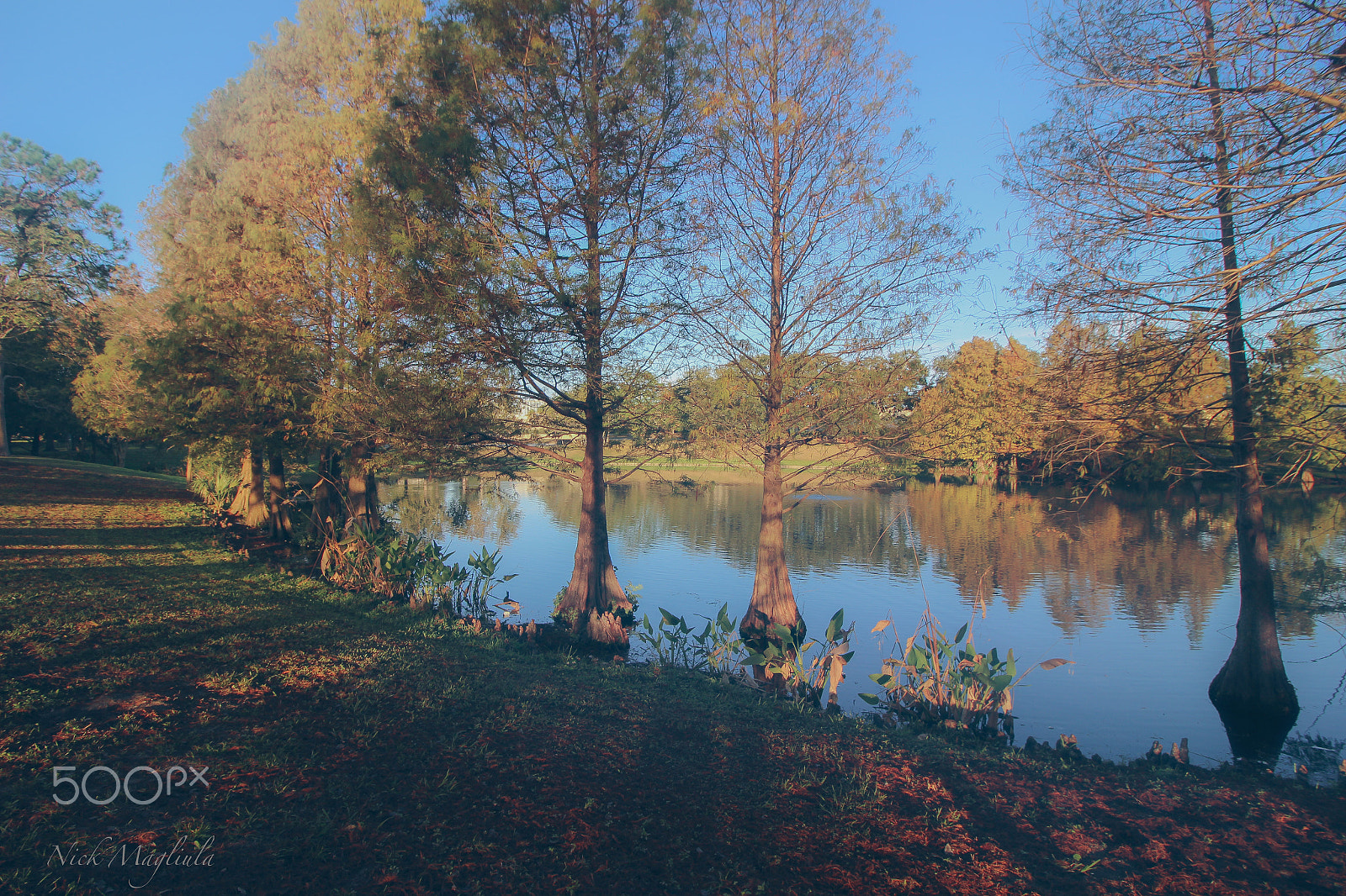 Canon EF-S 10-18mm F4.5–5.6 IS STM sample photo. A walk in the park photography