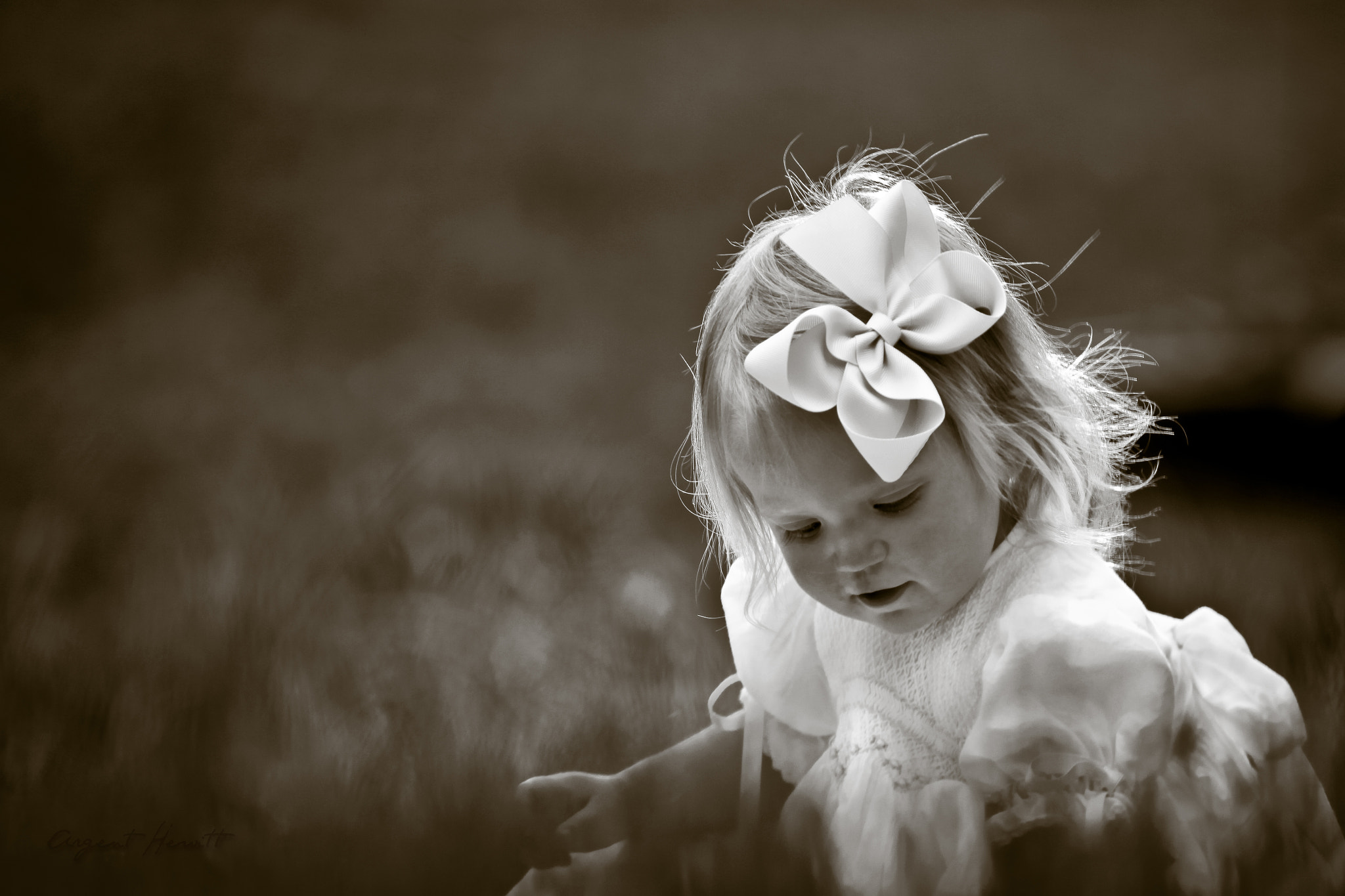 Canon EOS 50D + Canon EF 300mm F4L IS USM sample photo. Purity photography