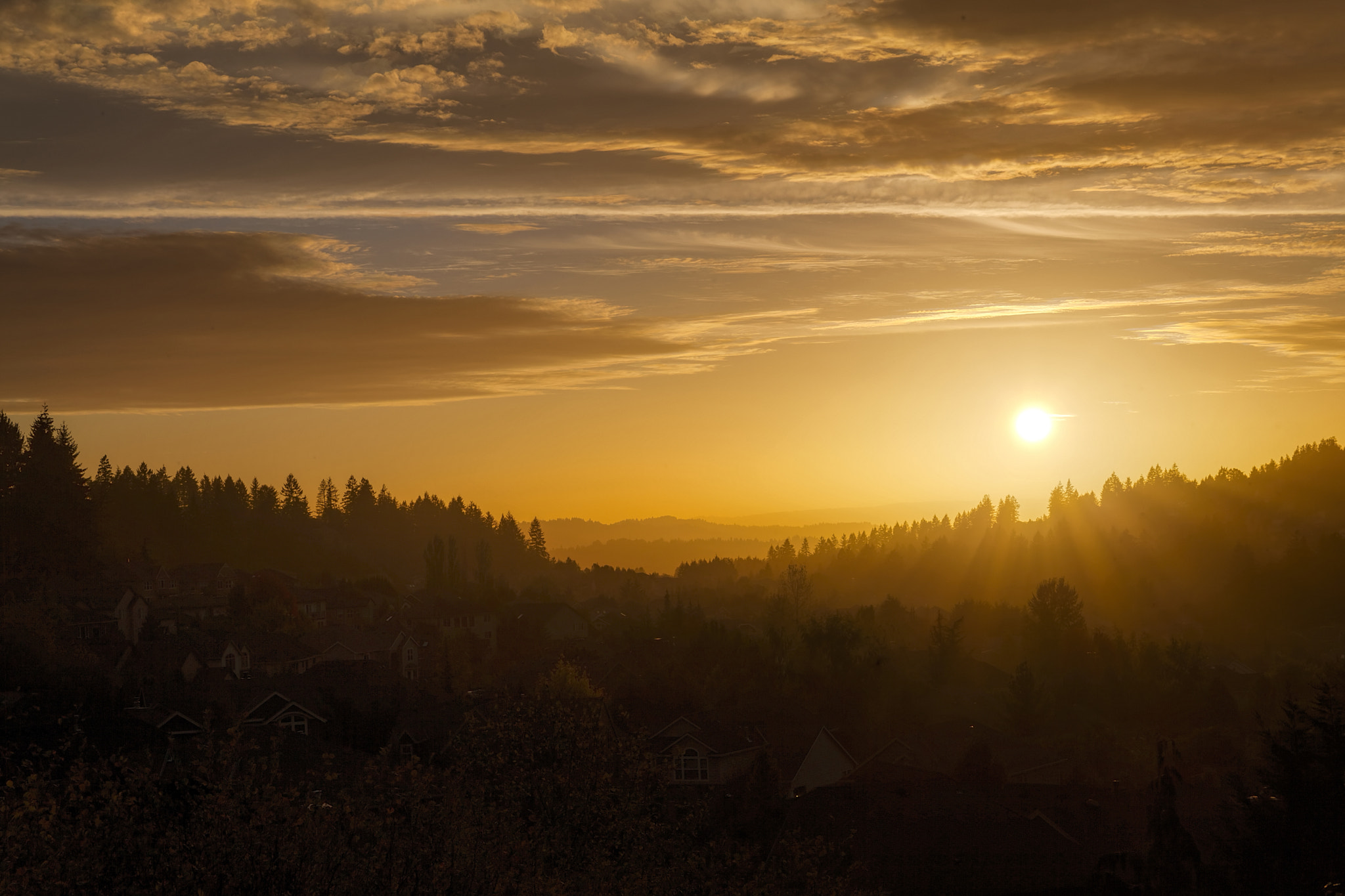 Suburban Golden Sunset