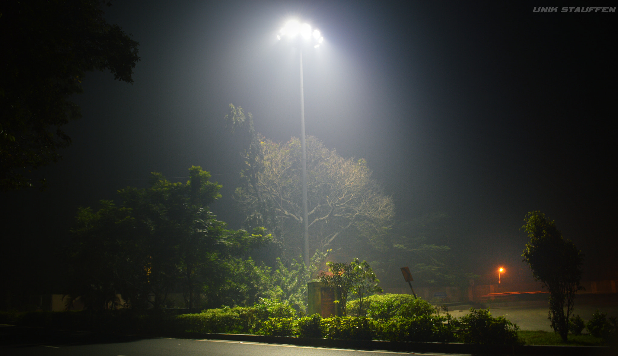 Nikon AF-S Nikkor 600mm F4D ED-IF II sample photo. Anna university road photography