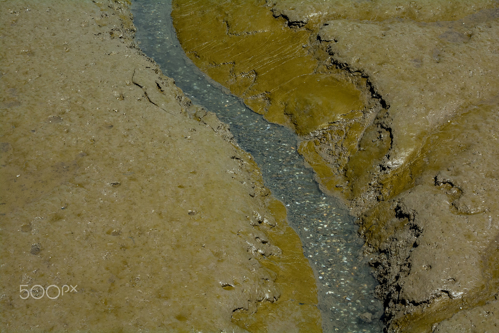 AF Zoom-Nikkor 28-80mm f/3.3-5.6G sample photo. River in the river photography