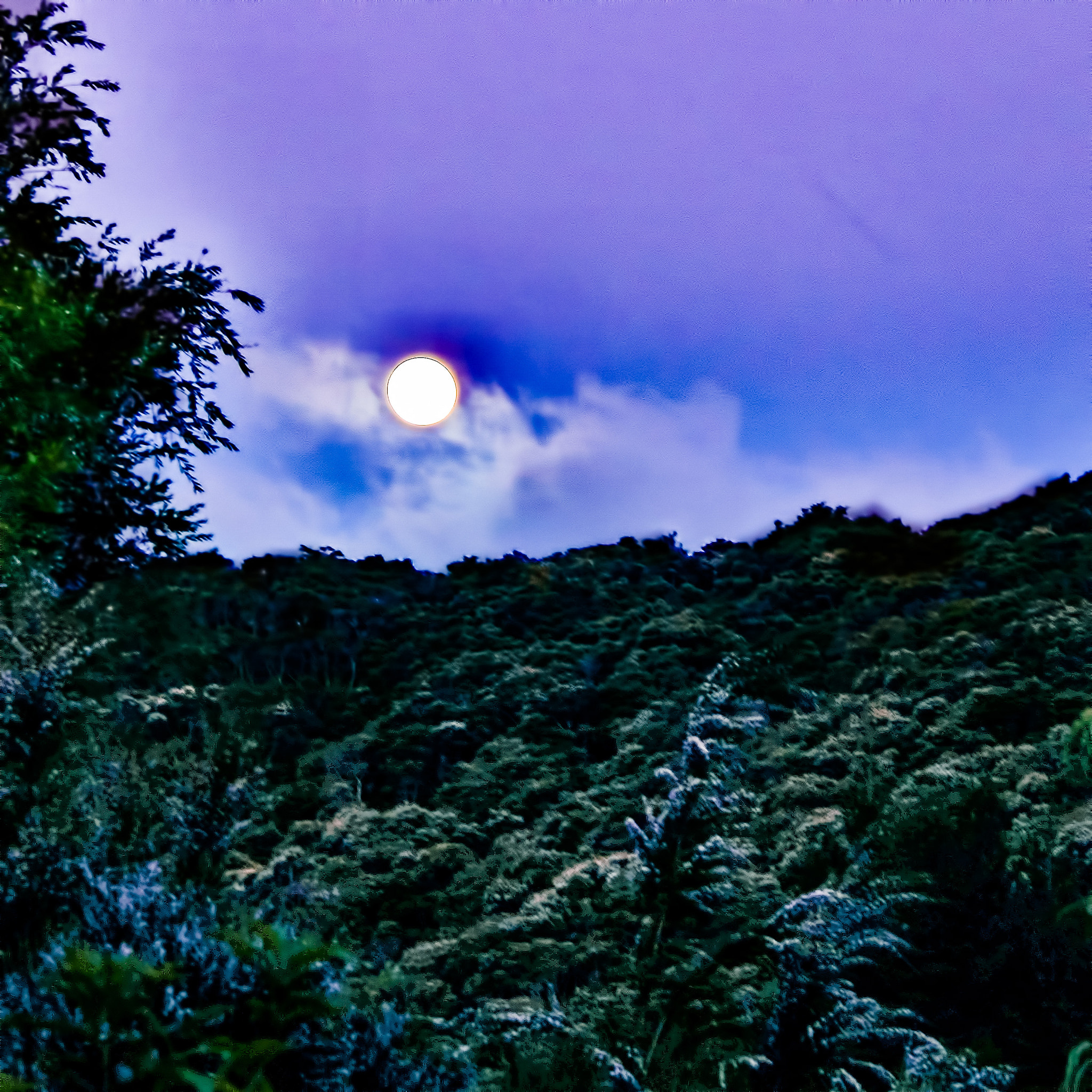 1 NIKKOR VR 10-100mm f/4-5.6 sample photo. Hi moon photography