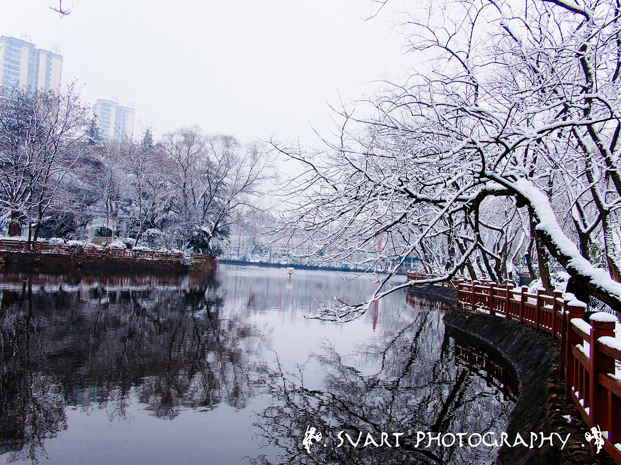 Olympus PEN E-PL5 + Panasonic Lumix G 14mm F2.5 ASPH sample photo. _1111763 photography