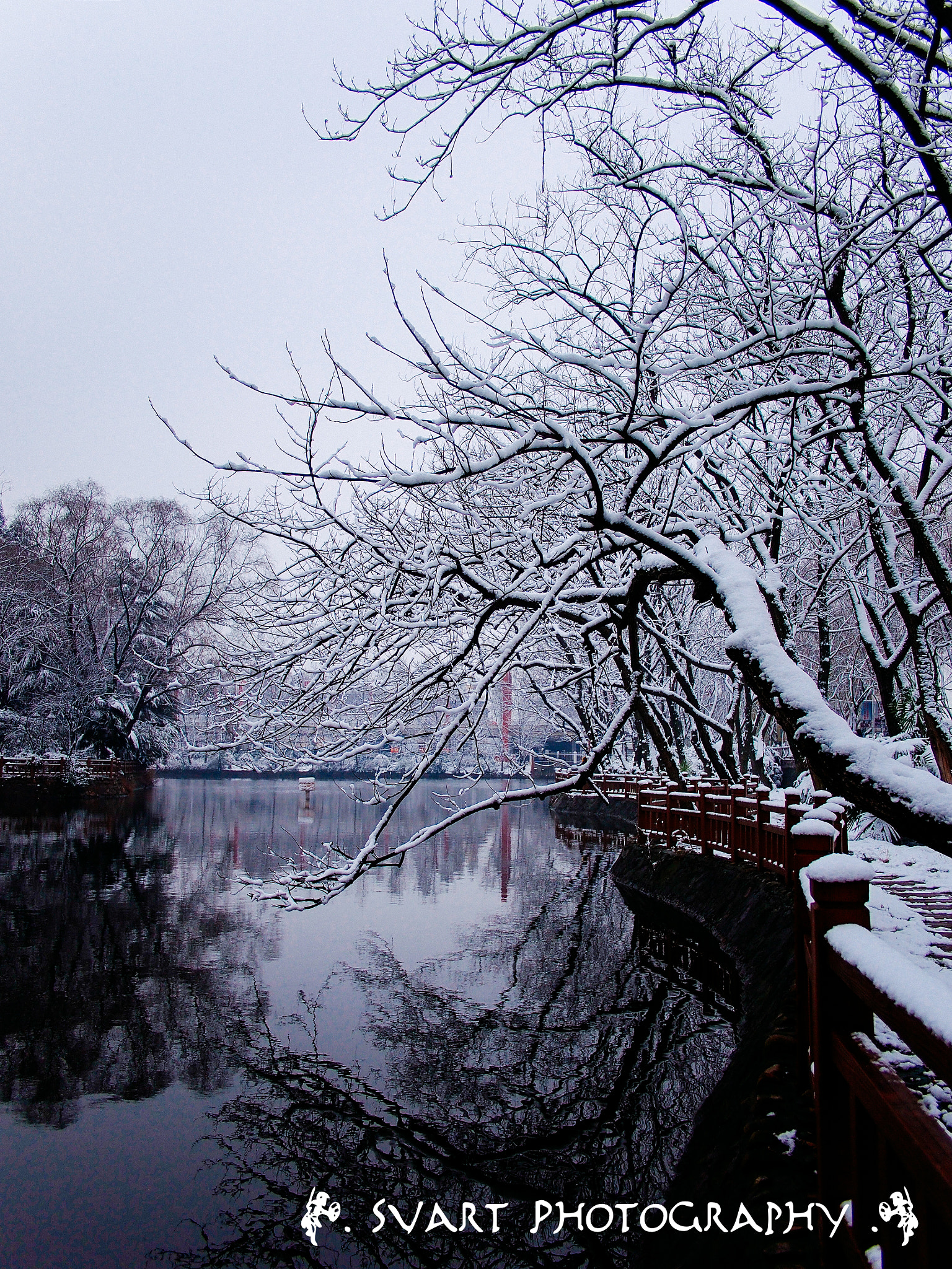 Olympus PEN E-PL5 + Panasonic Lumix G 14mm F2.5 ASPH sample photo. _1111764 photography