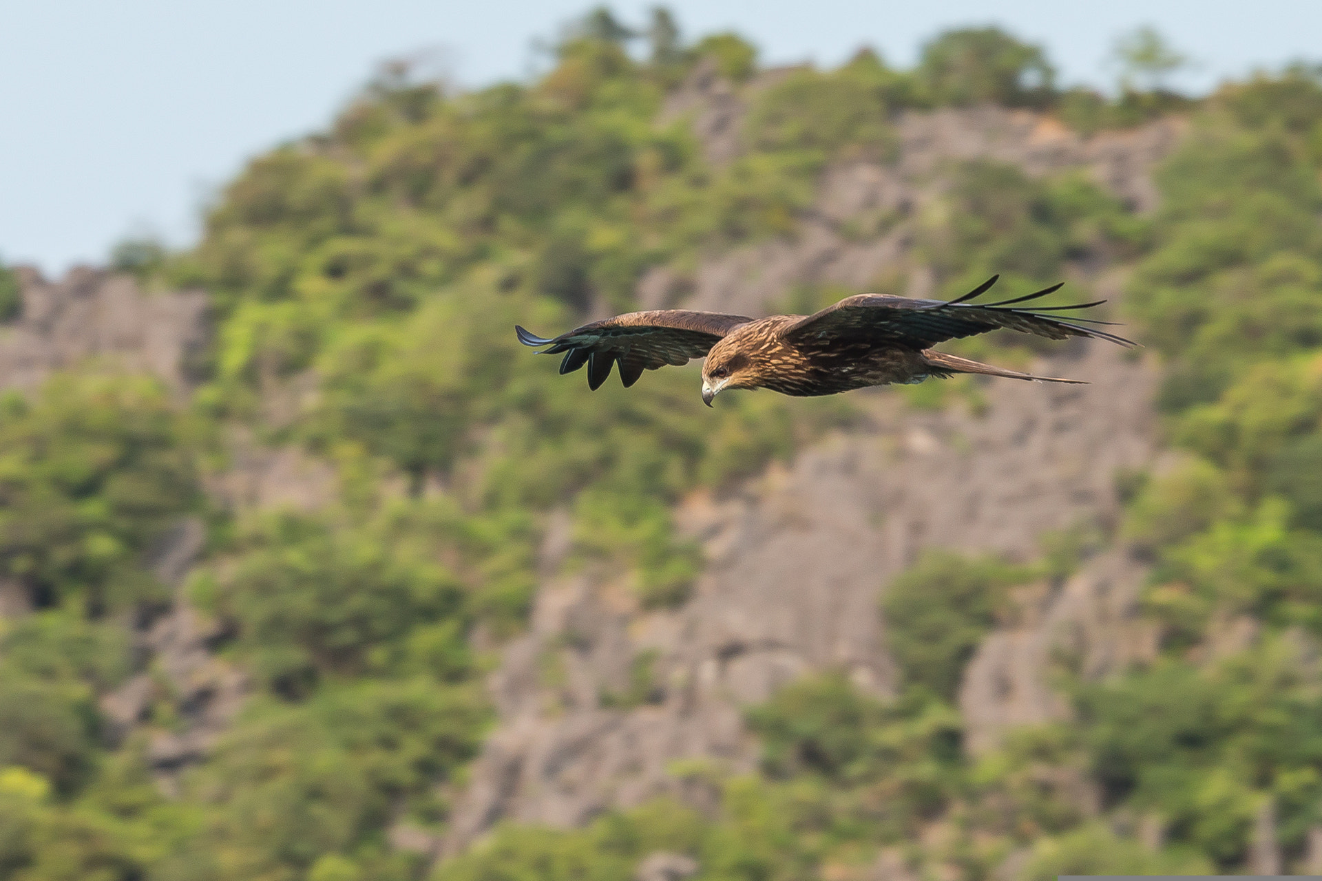 Canon EOS-1D X + Canon EF 70-200mm F4L USM sample photo. 14095189127.jpg photography