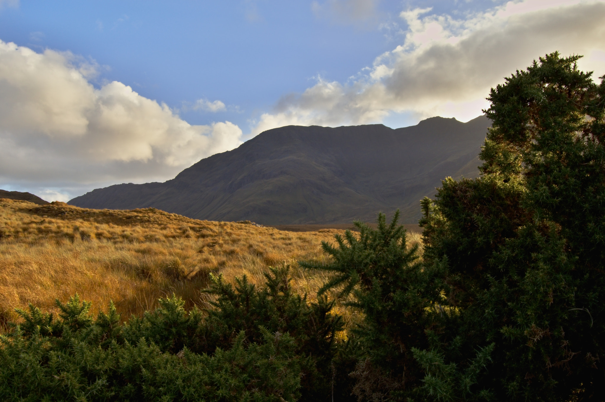 Nikon D3200 + 18.00 - 55.00 mm f/3.5 - 5.6 sample photo. Connemara photography