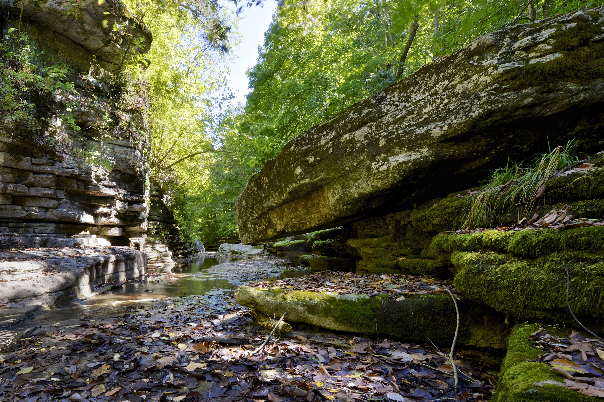 Raven Run Trail Lexington, KY by Ken Silvestri / 500px