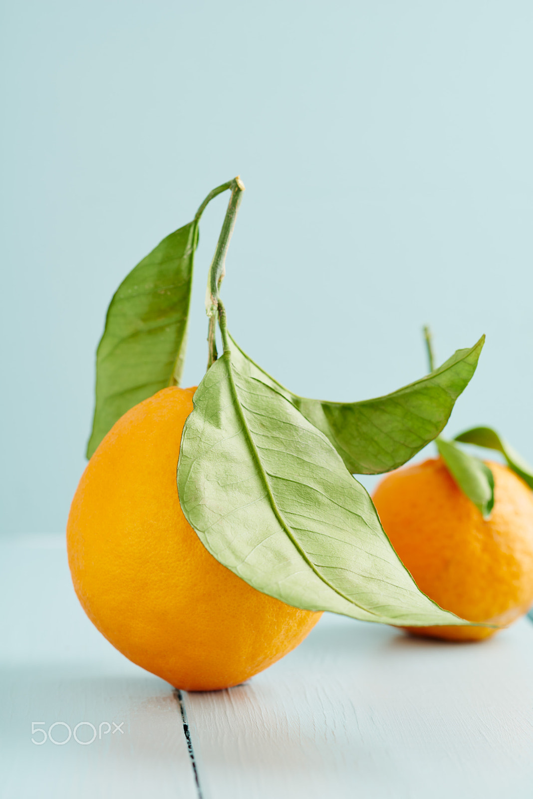 90mm F2.8 sample photo. Fresh oranges photography
