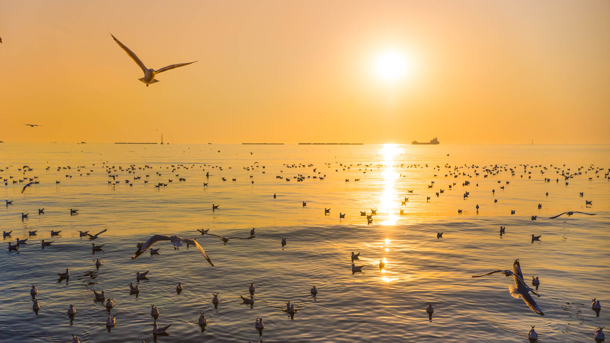 Nikon D750 + Sigma 18-35mm F1.8 DC HSM Art sample photo. Golden sunset photography