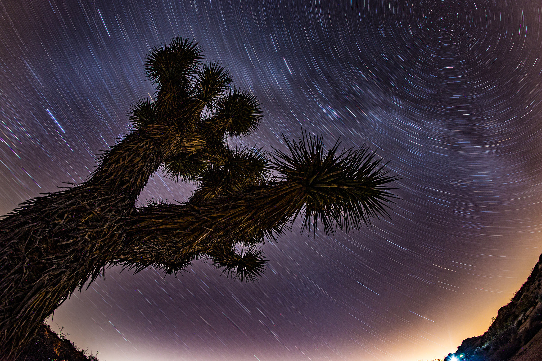 Samyang 12mm F2.8 ED AS NCS Fisheye sample photo. Star trails at joshua tree national park photography