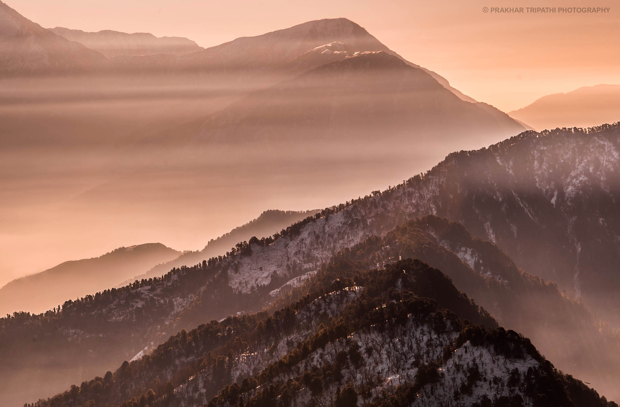 Nikon D4S sample photo. Morning rays photography