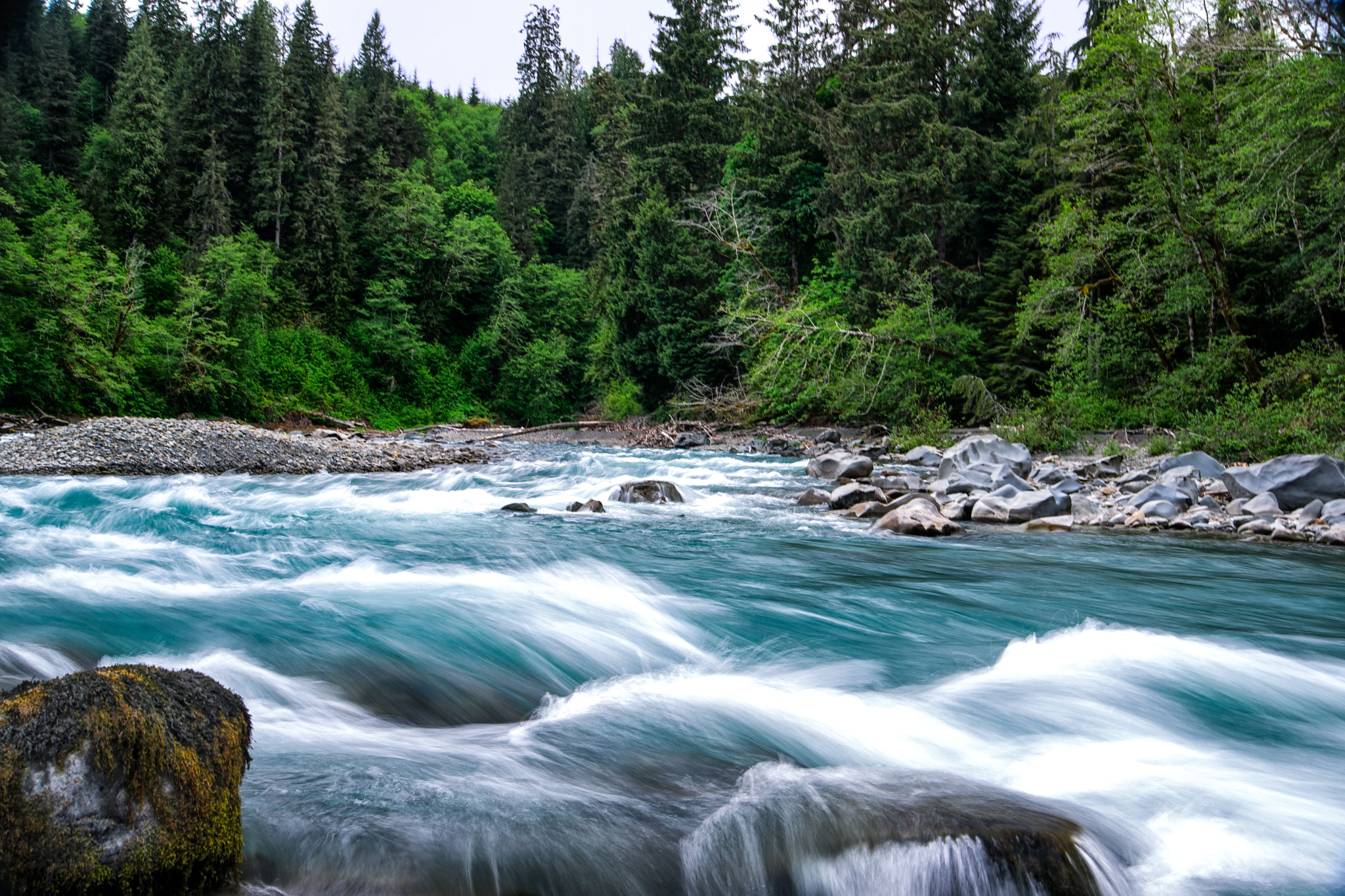 Sony Alpha DSLR-A850 + Sony 28-75mm F2.8 SAM sample photo. Olympic peninsula photography