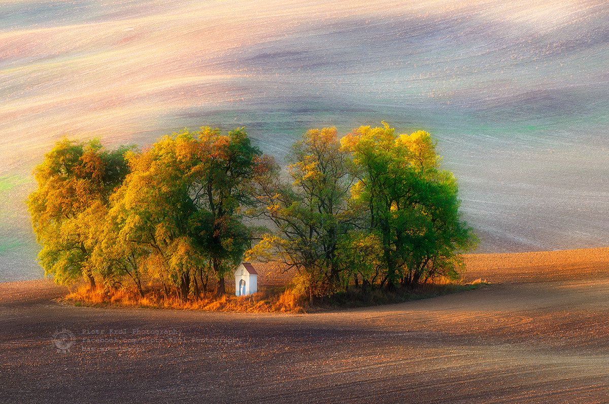 Sigma 50-500mm F4.5-6.3 DG OS HSM sample photo. The autumn chapel photography