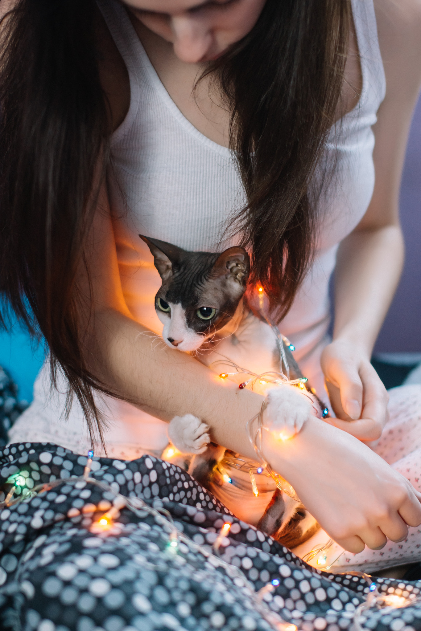 Sony SLT-A77 + Sigma 50mm F1.4 EX DG HSM sample photo. Happy new year with cat photography
