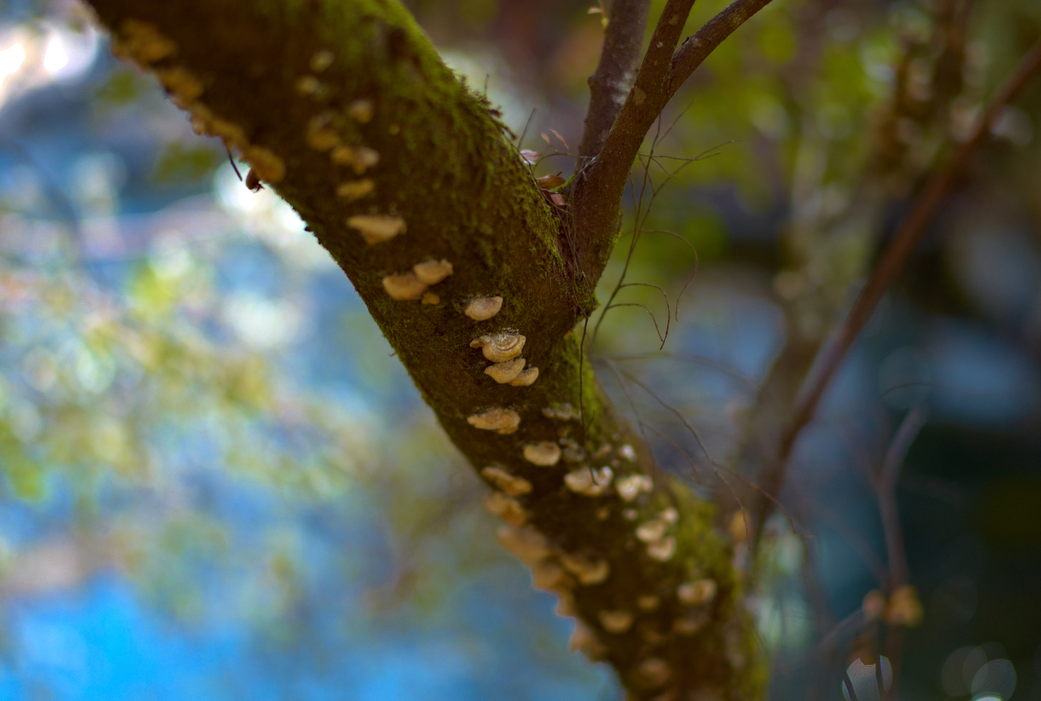 Leica M8 sample photo. * photography