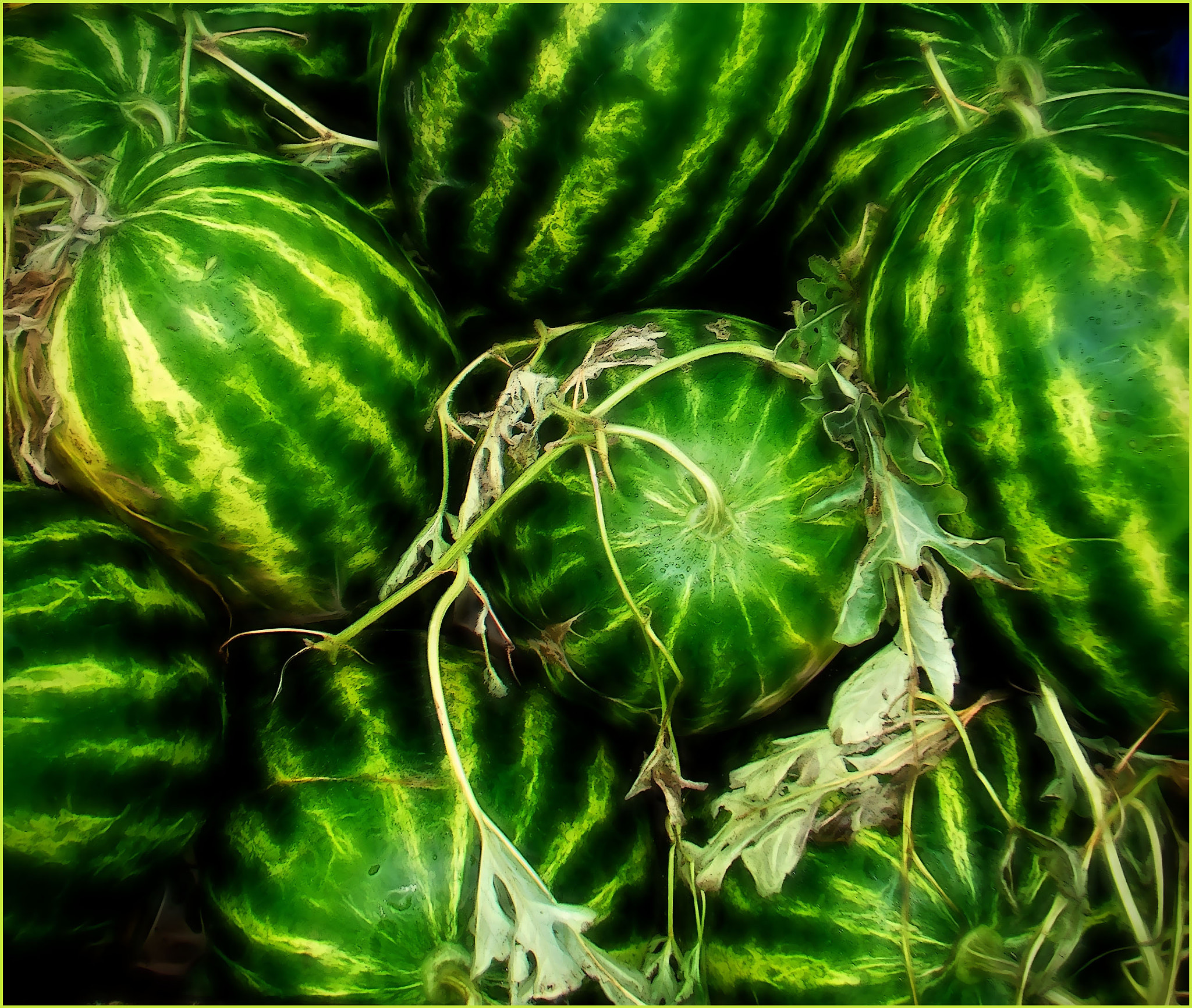 Fujifilm FinePix Z200FD sample photo. Watermelons photography
