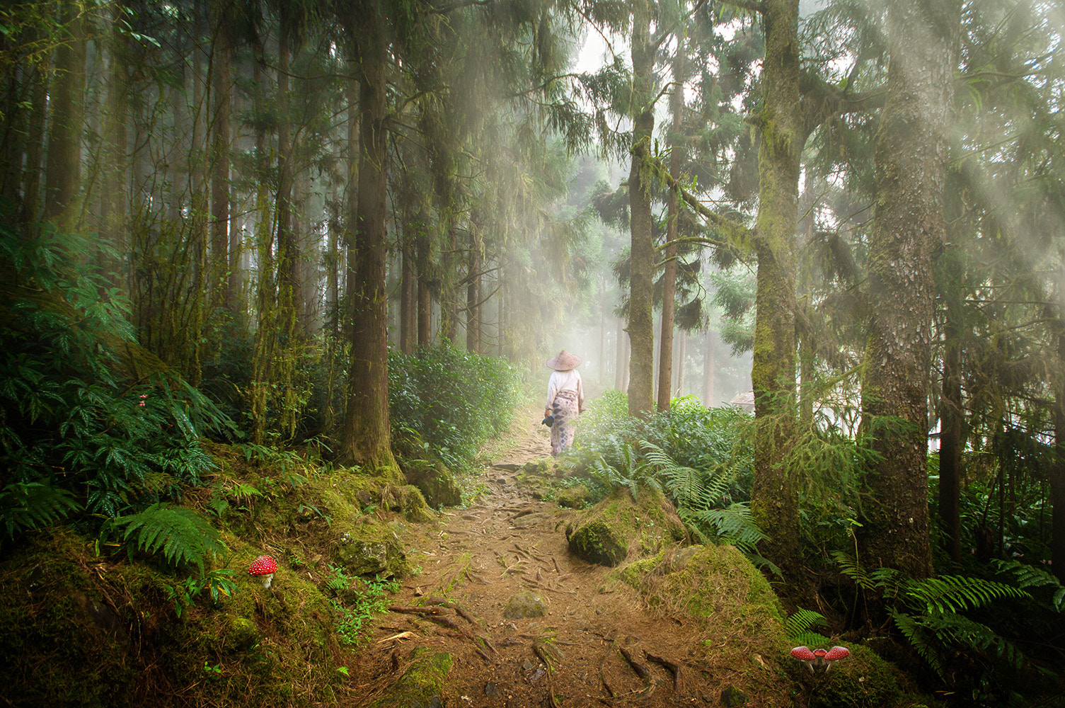 Sigma AF 10-20mm F4-5.6 EX DC sample photo. The lady in the mist photography