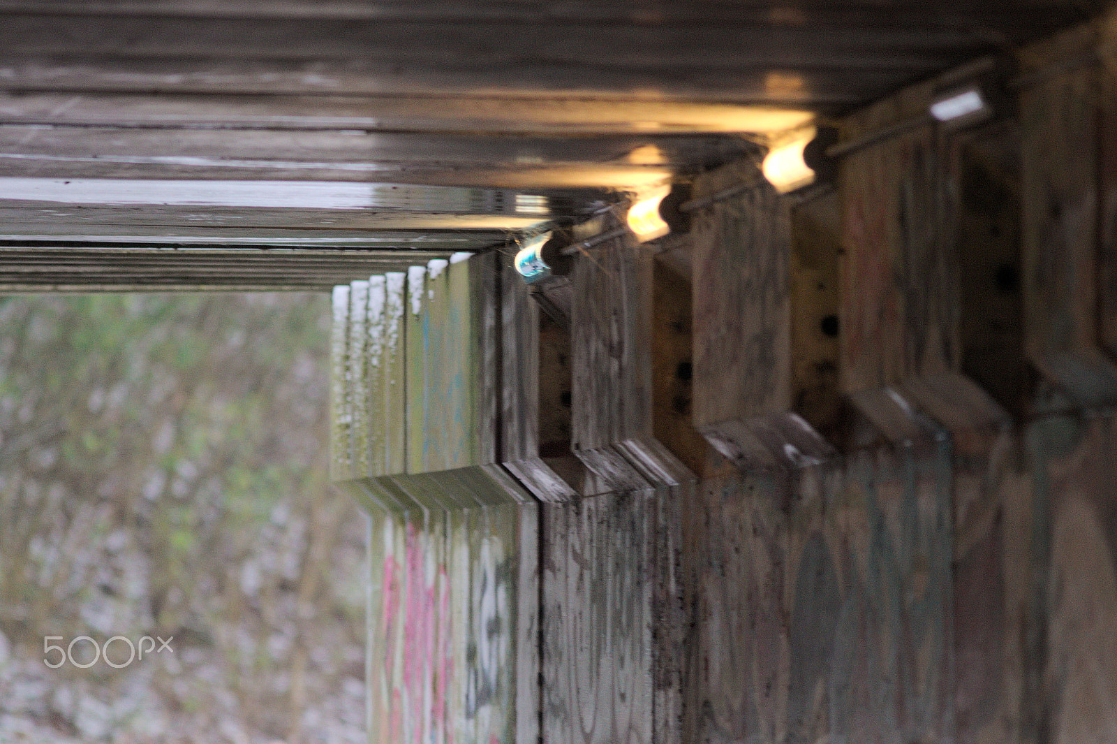 Canon EF 300mm F4L IS USM sample photo. Tunnelvision photography