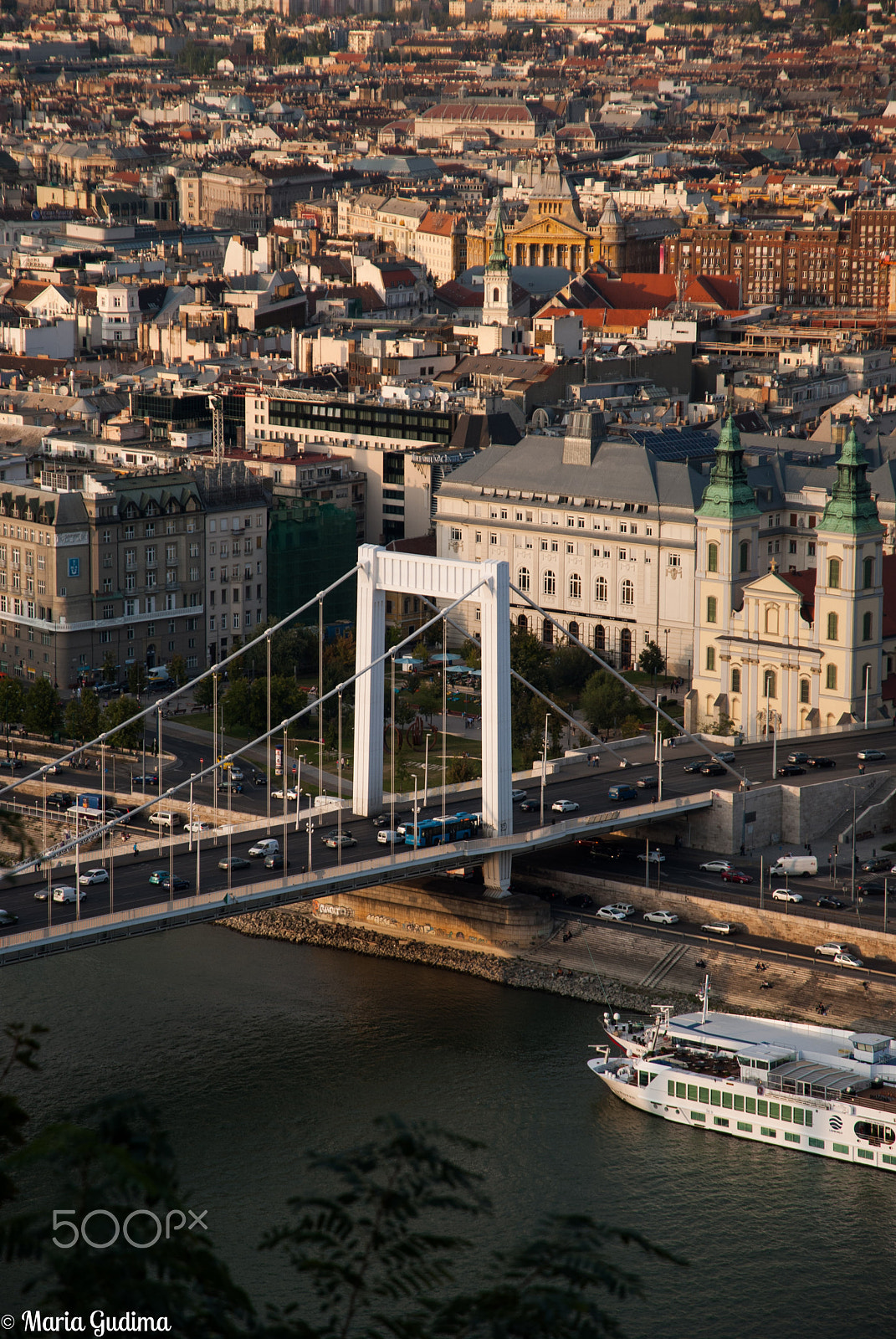 Nikon D60 sample photo. The look from above is always better photography