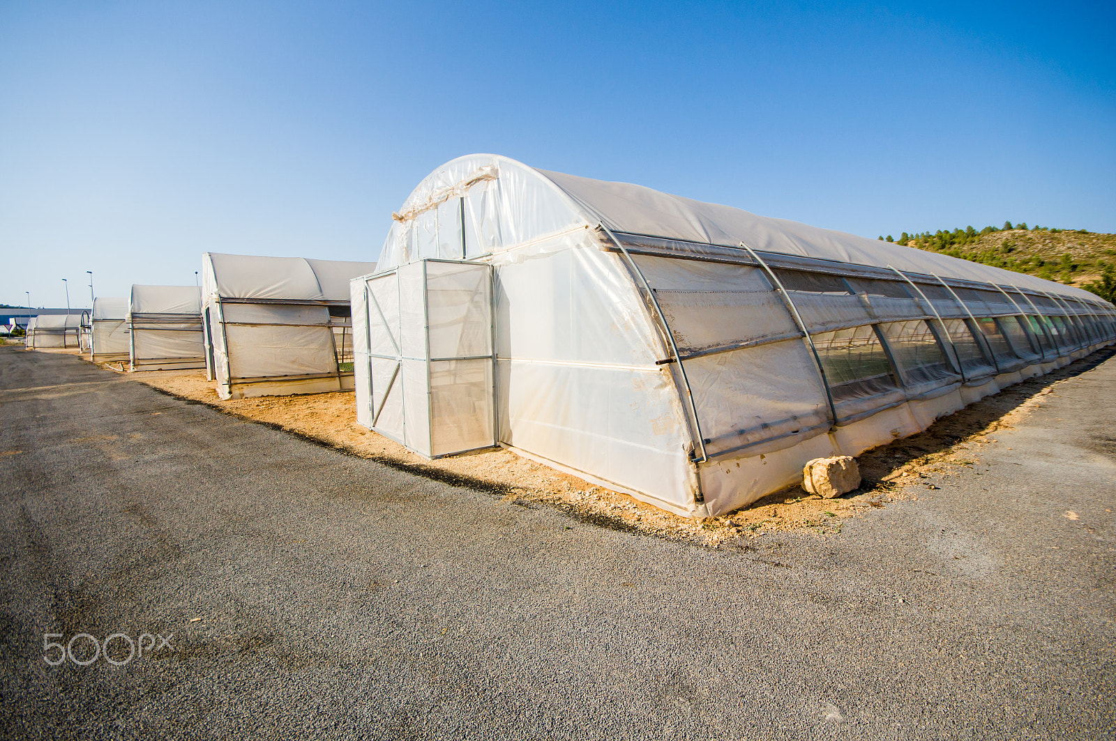 Sigma AF 10-20mm F4-5.6 EX DC sample photo. Greenhouse photography
