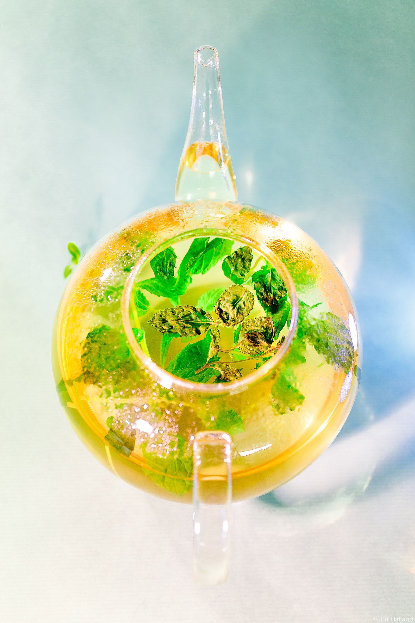 Canon EF 50mm F2.5 Macro sample photo. Mint tea photography