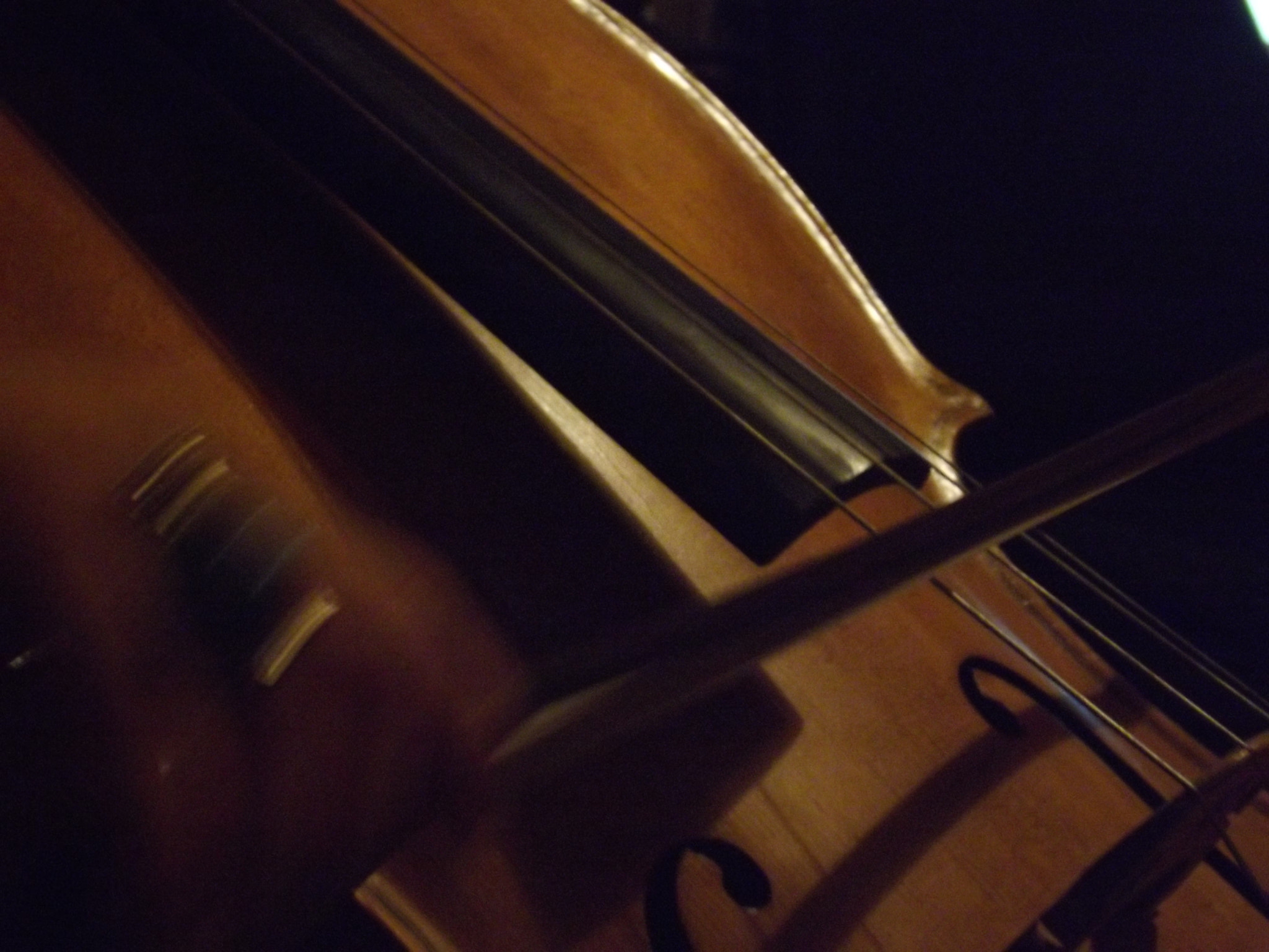 Fujifilm FinePix SL240 sample photo. Cello photography