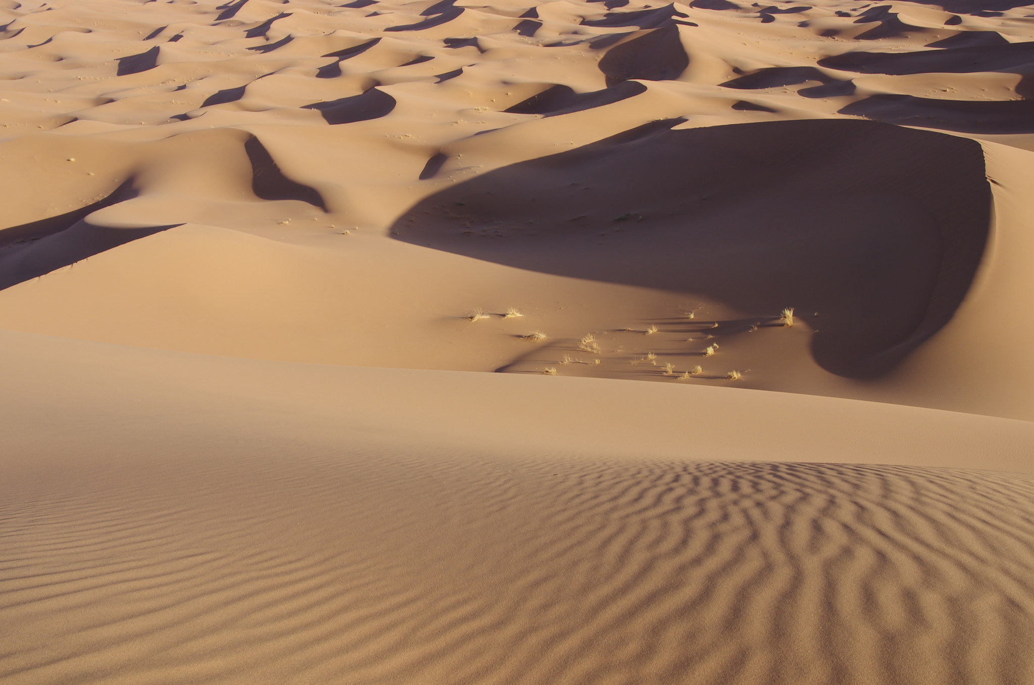 Pentax K-5 sample photo. Dunes photography