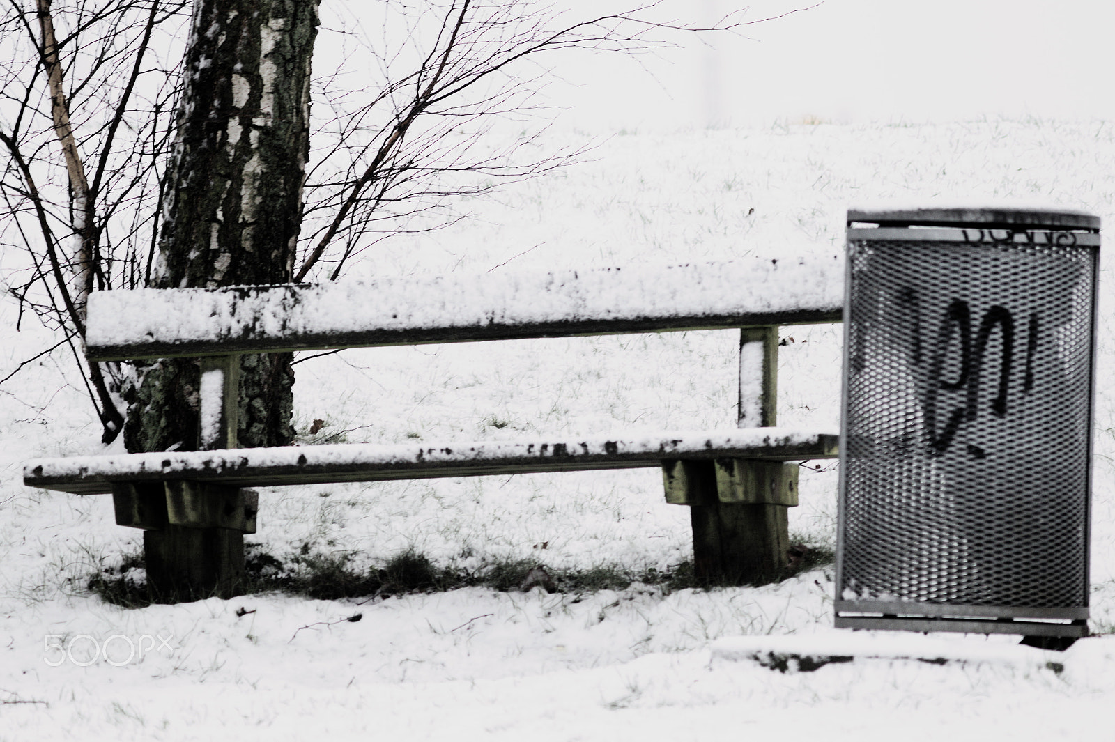 Canon EF 300mm F4L IS USM sample photo. Winterinthepark photography