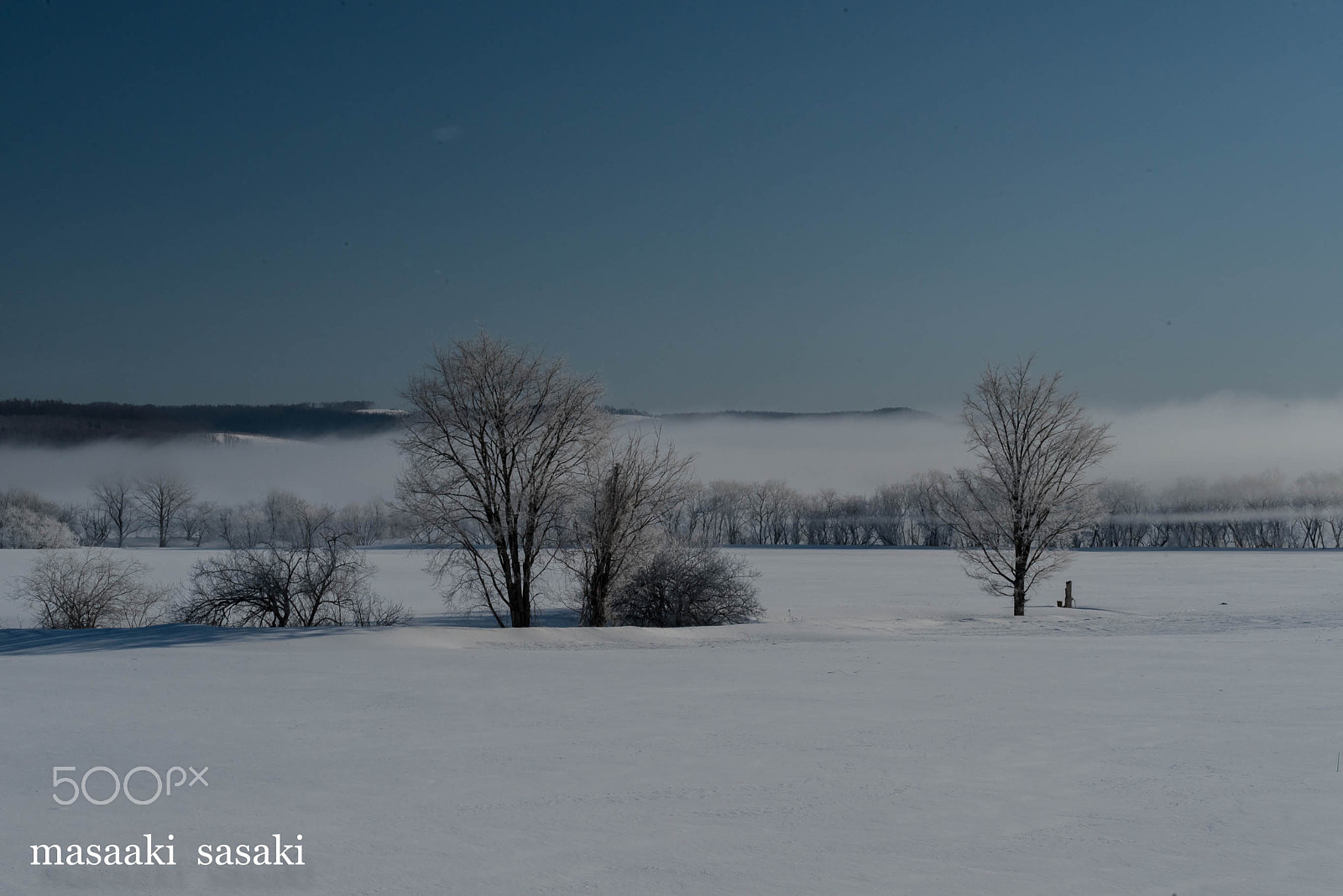 Sigma 70-200mm F2.8 EX DG Macro HSM II sample photo. Before a fog deposit photography