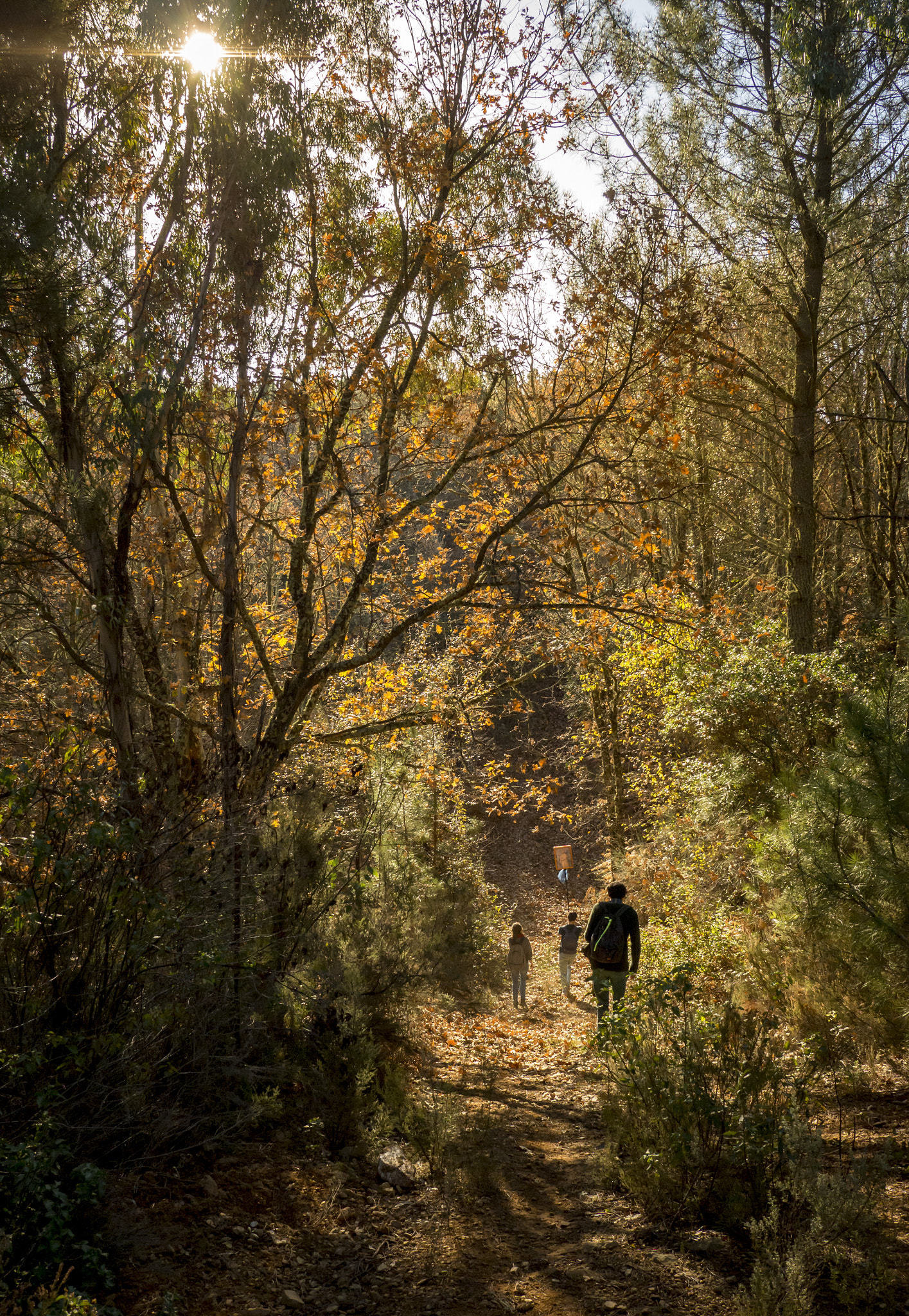 Panasonic Lumix G X Vario 12-35mm F2.8 ASPH Power OIS sample photo. Way to guadalupe photography