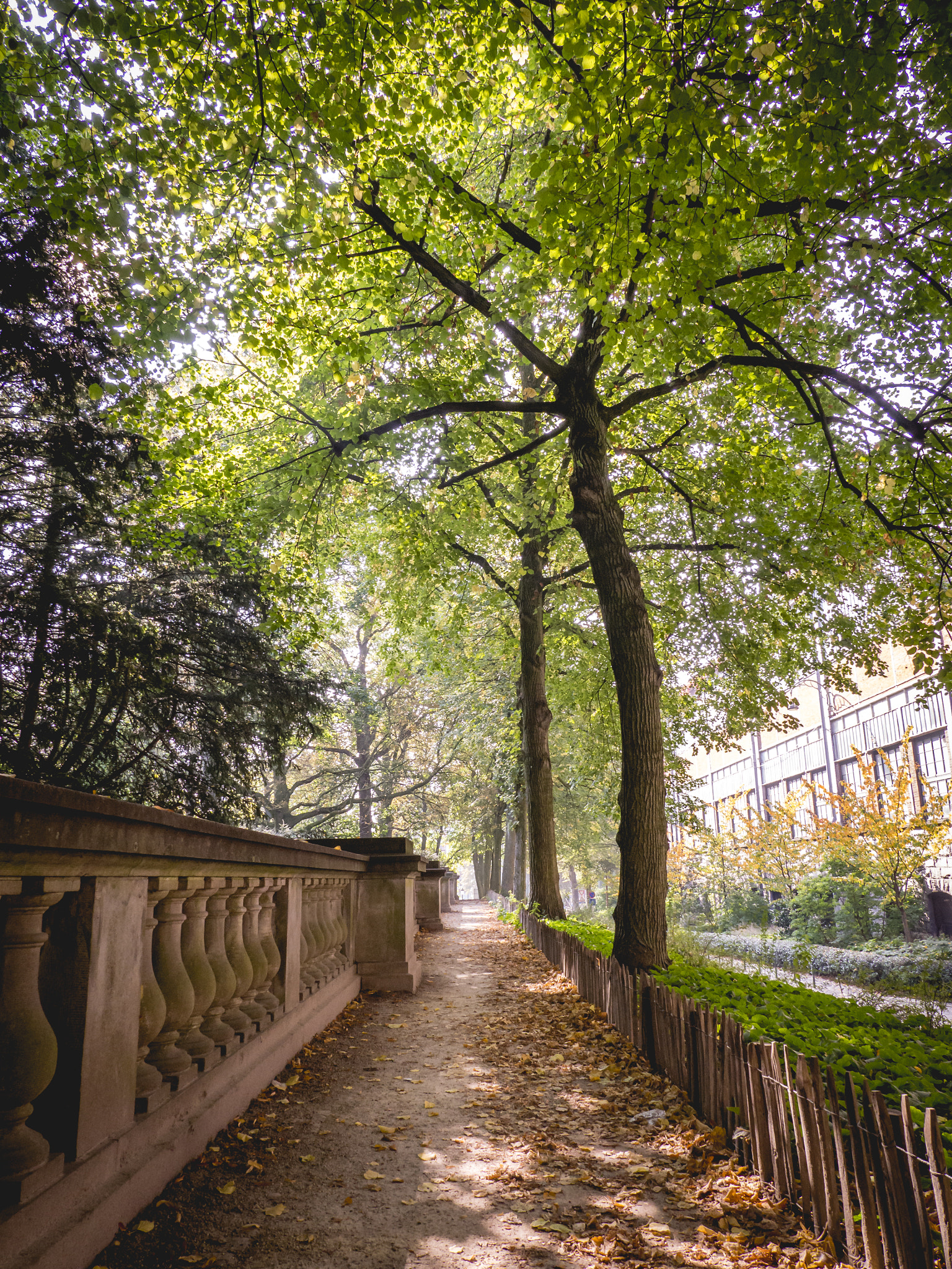 Panasonic Lumix G X Vario 12-35mm F2.8 ASPH Power OIS sample photo. Forest in city photography