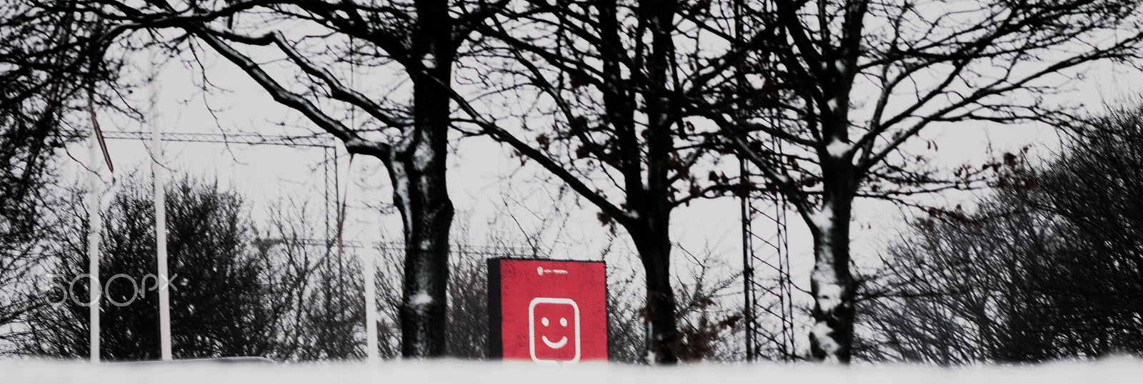Canon EF 300mm F4L IS USM sample photo. Wintertime photography